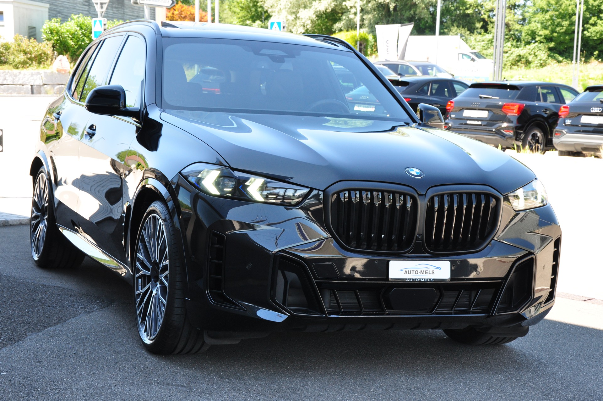 BMW X5 xDrive 48V 40d M Sport Pro Steptronic-image-12