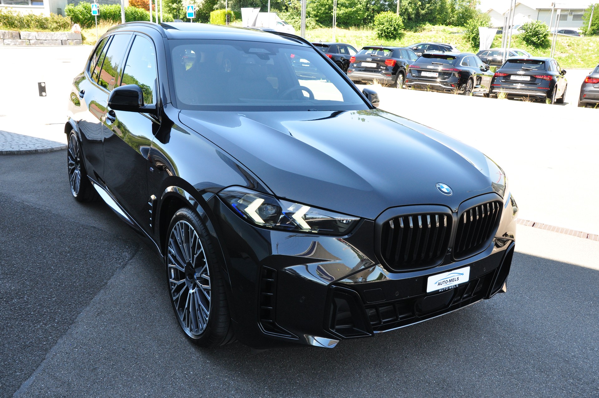 BMW X5 xDrive 48V 40d M Sport Pro Steptronic-image-10