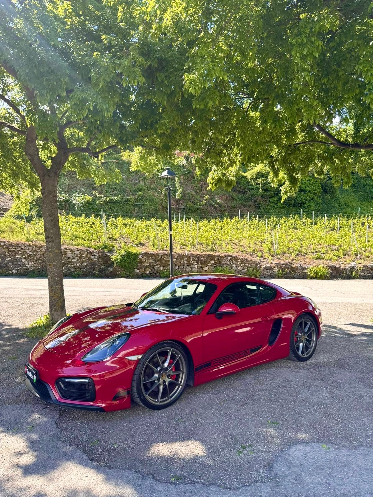 PORSCHE Cayman 981 GTS 3.4-image-20
