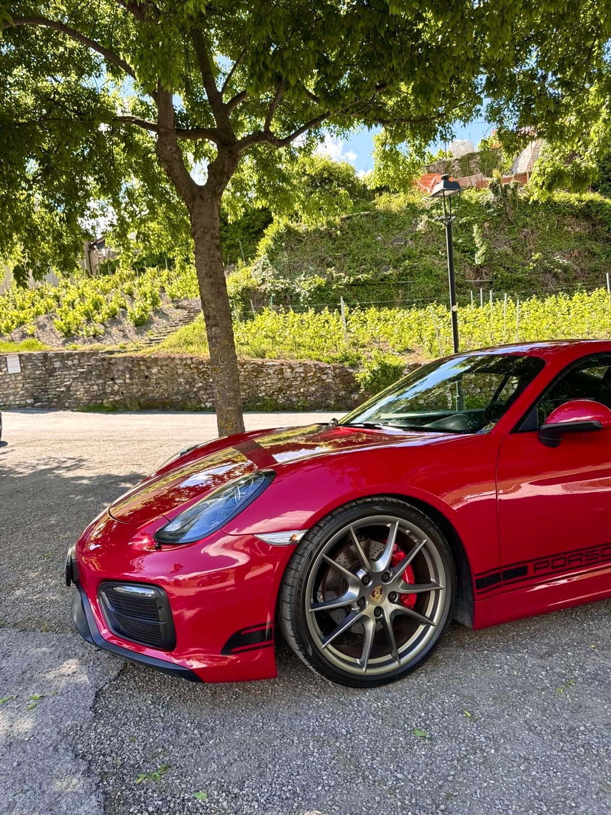 PORSCHE Cayman 981 GTS 3.4-showroom-element-1