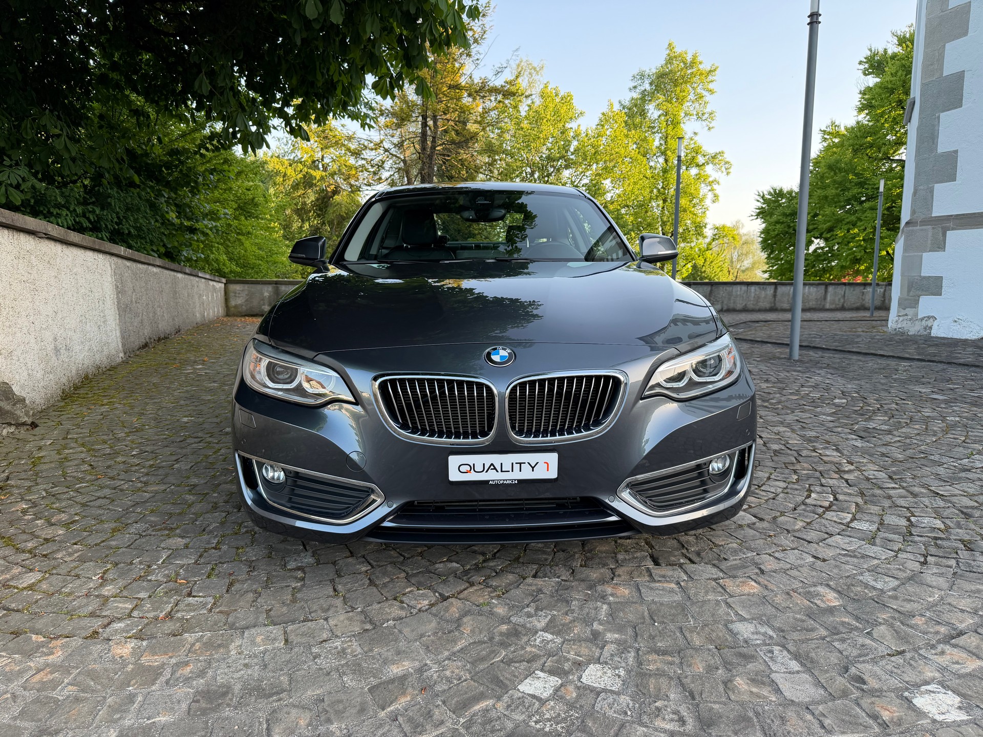 BMW 220d xDrive Luxury Line Steptronic / Frisch ab MFK / Service gepflegt / 36 Monate Garantie / 8 Fach / Leder / Navi / Xenon-image-1