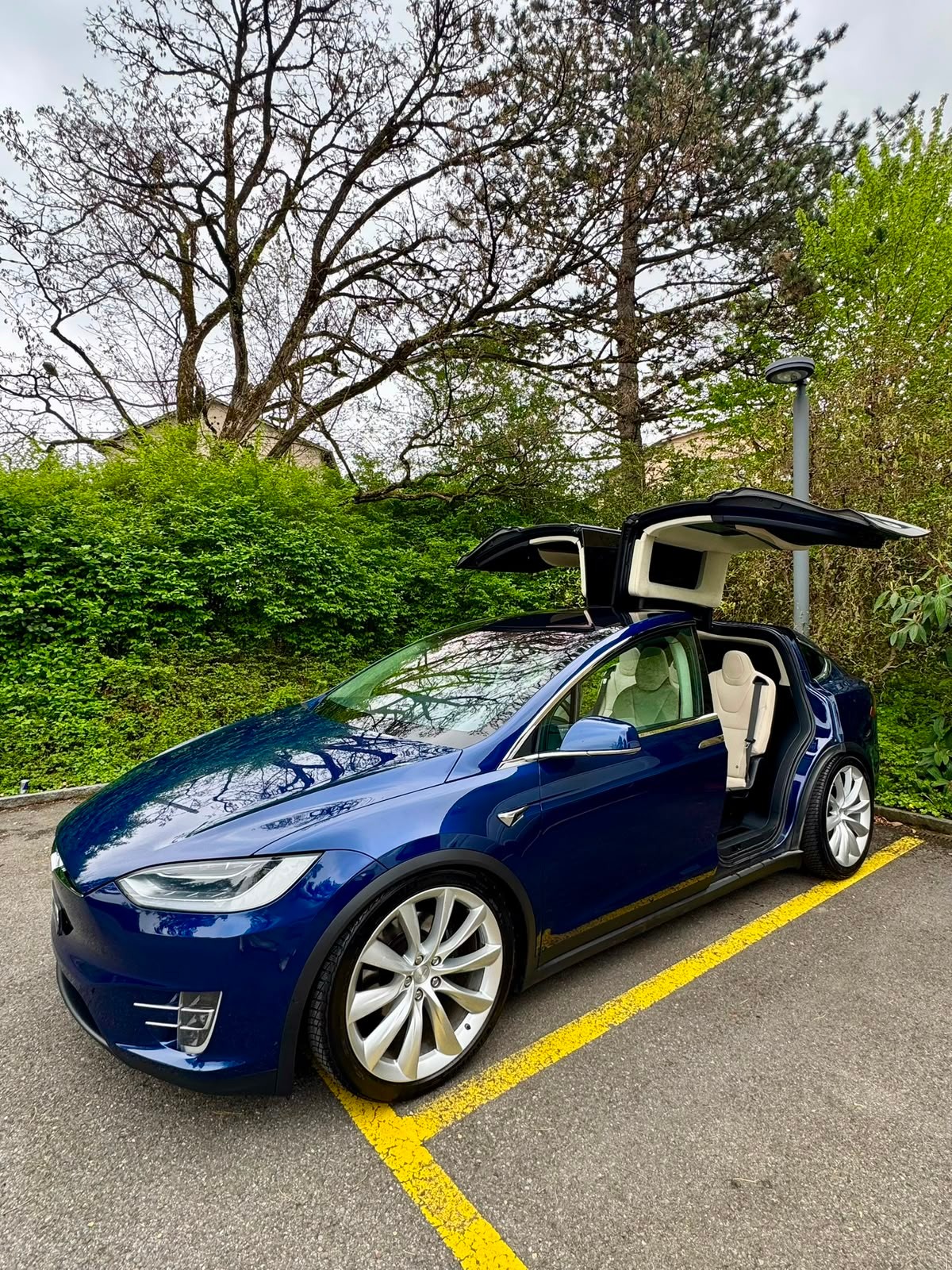 TESLA Model X 100 X-image-2