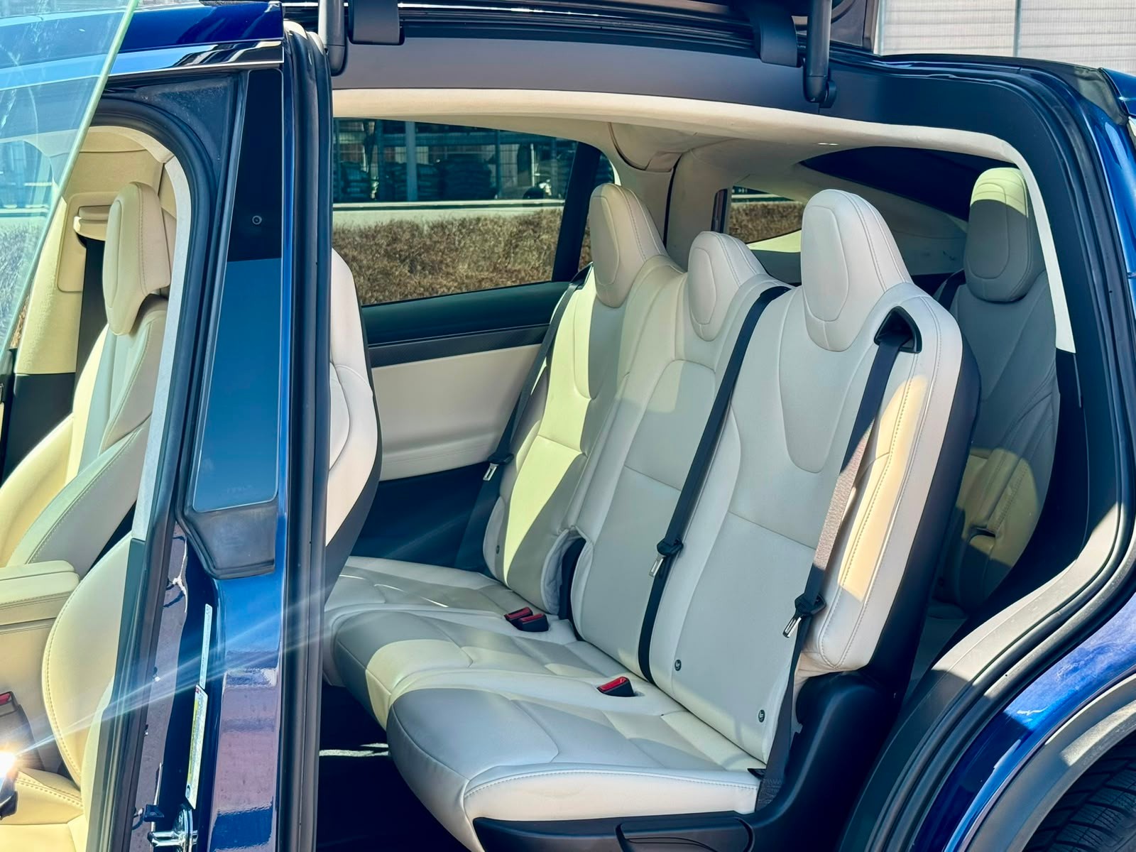 TESLA Model X 100 X-image-5