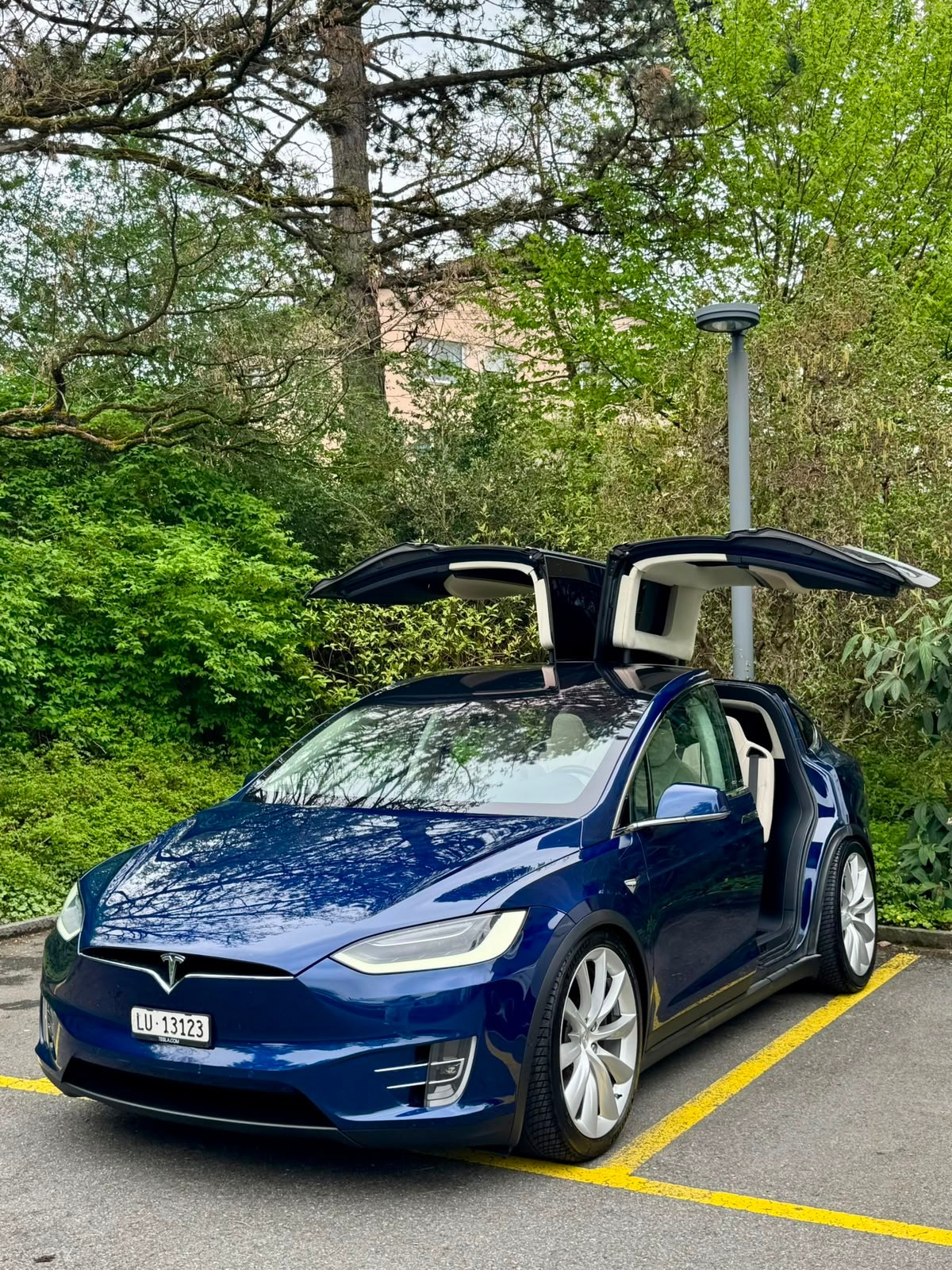 TESLA Model X 100 X-image-0