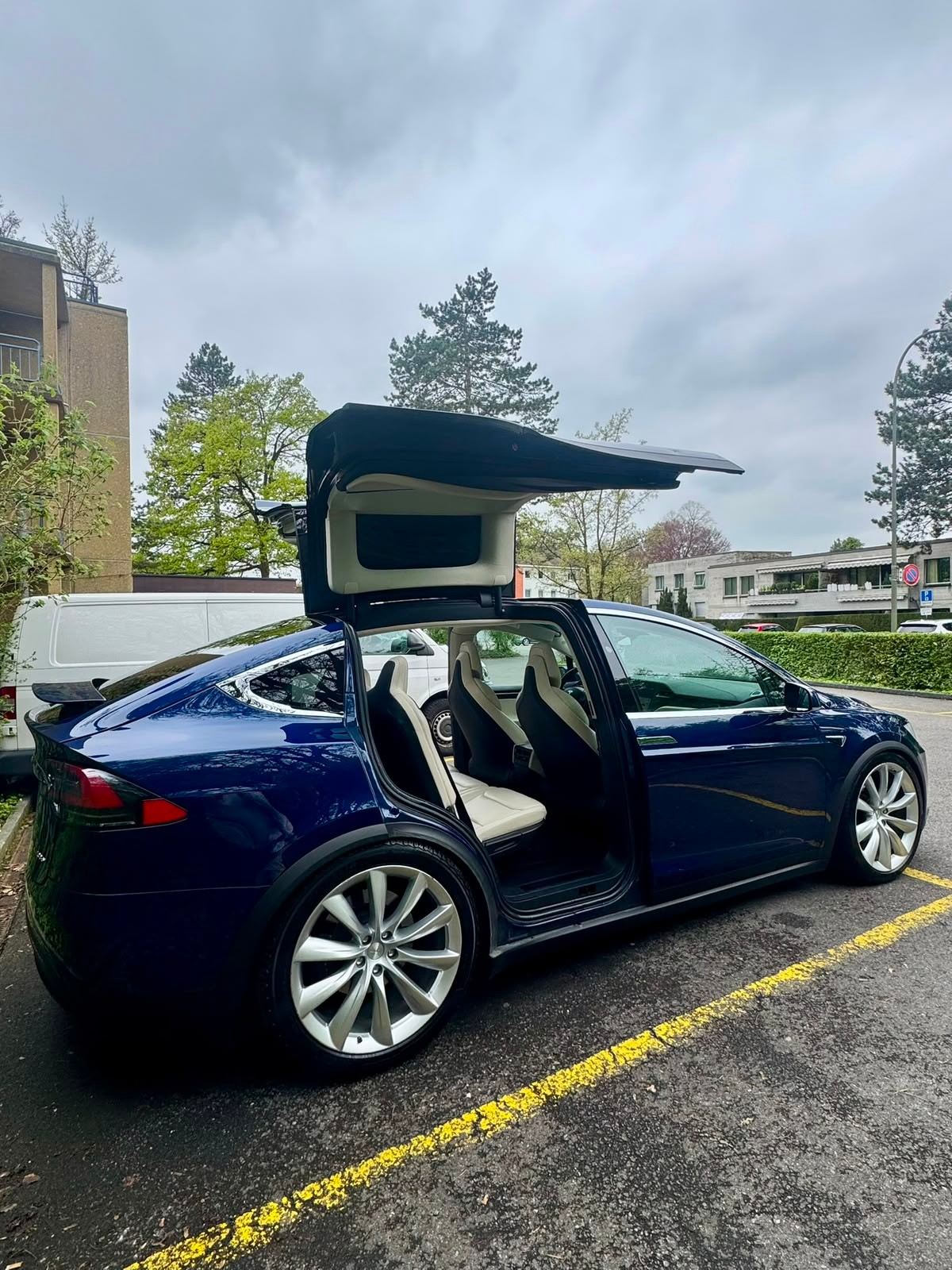TESLA Model X 100 X-image-1