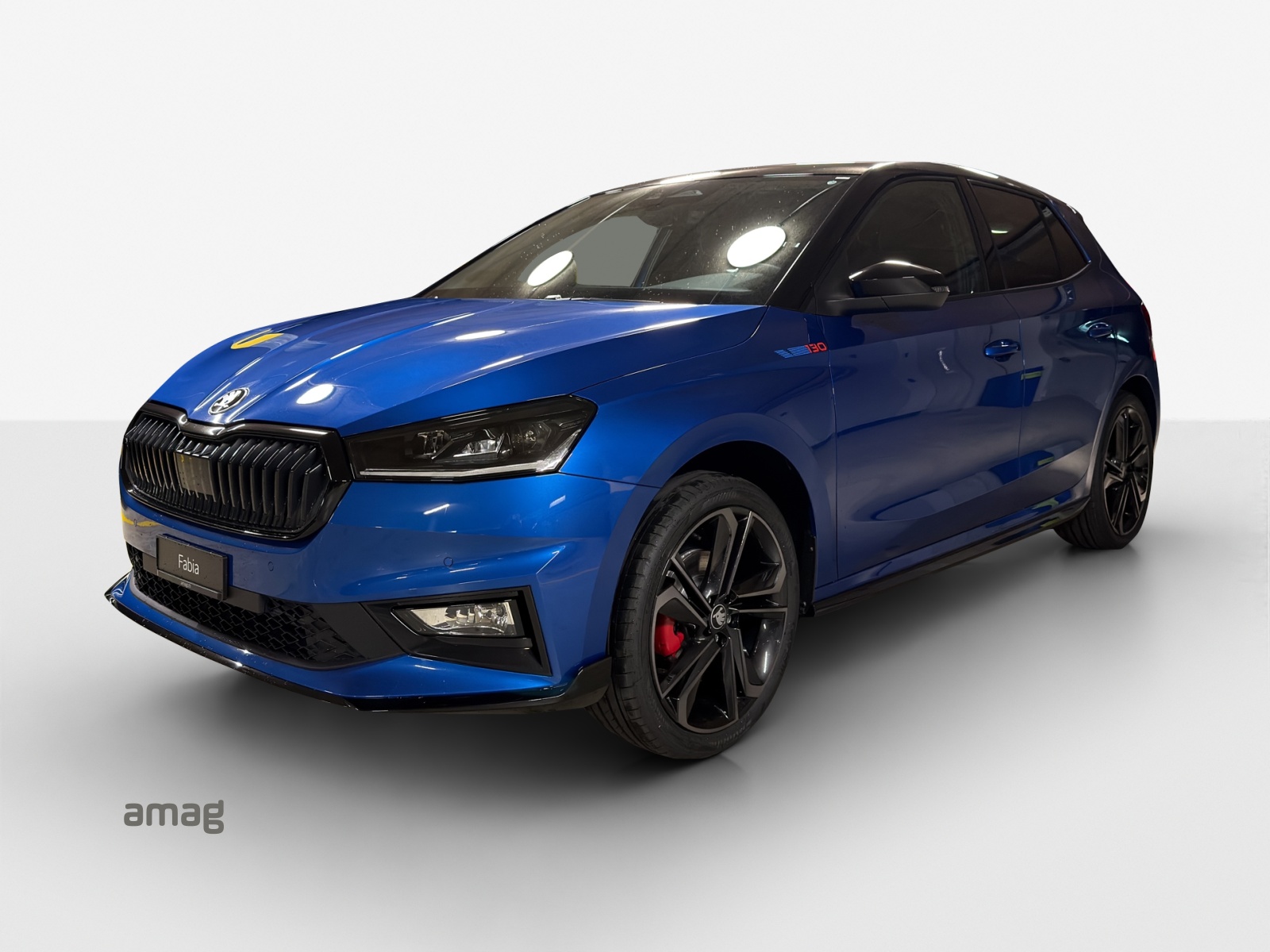 SKODA Fabia 130-image-0
