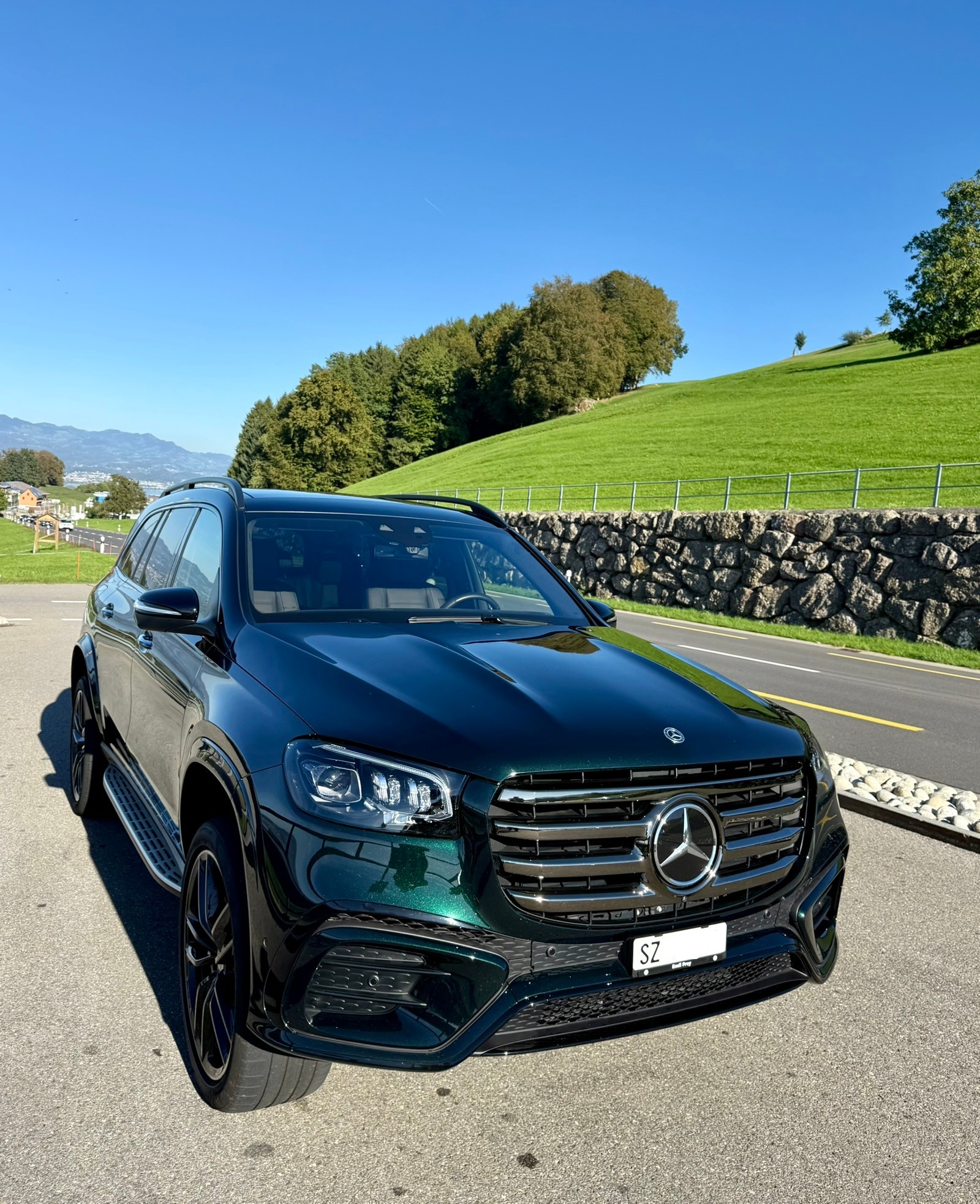 MERCEDES-BENZ GLS 450 d AMG Line 4matic-image-1