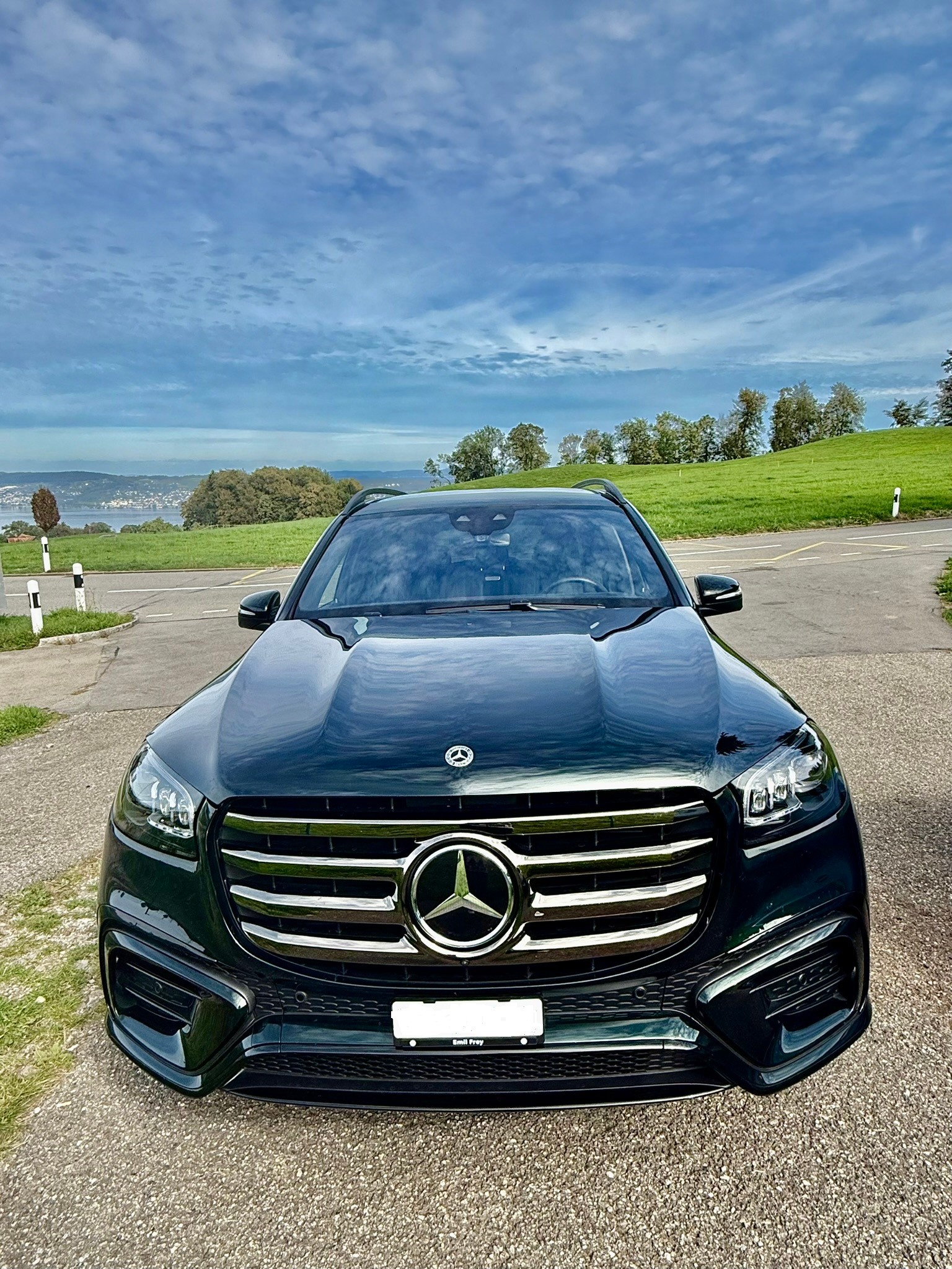 MERCEDES-BENZ GLS 450 d AMG Line 4matic-image-0