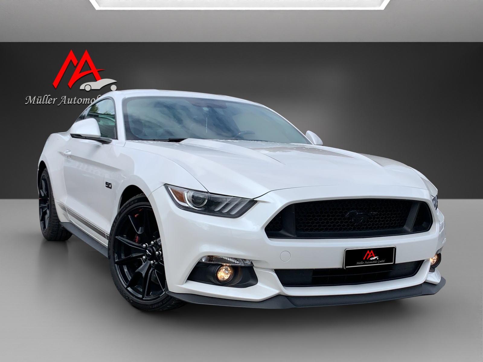FORD Mustang Fastback 5.0 V8 GT Automat-showroom-element-1