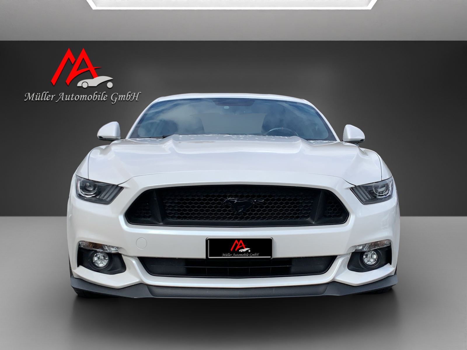 FORD Mustang Fastback 5.0 V8 GT Automat-showroom-element-2