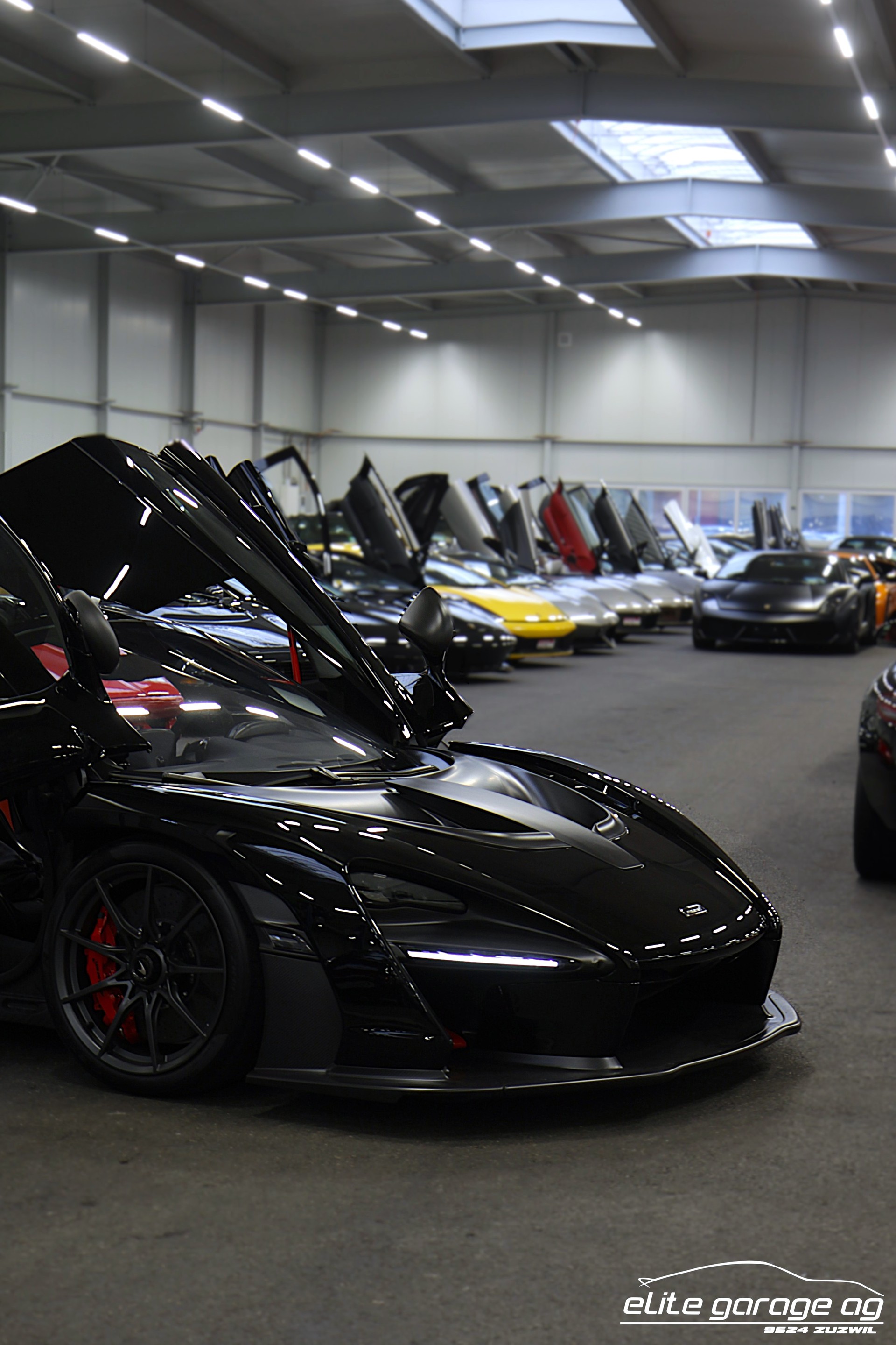 McLAREN SENNA-image-2
