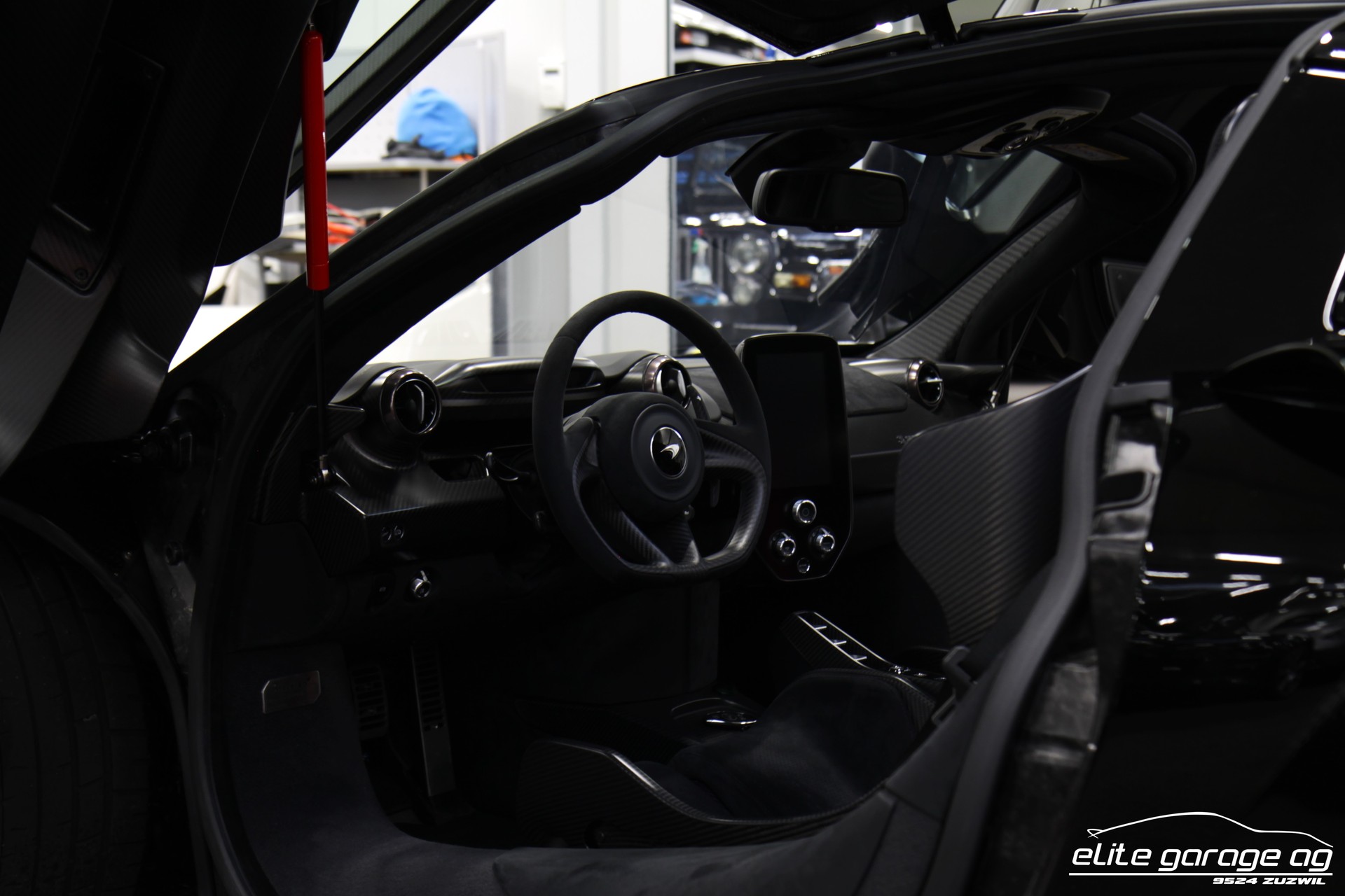 McLAREN SENNA-image-14