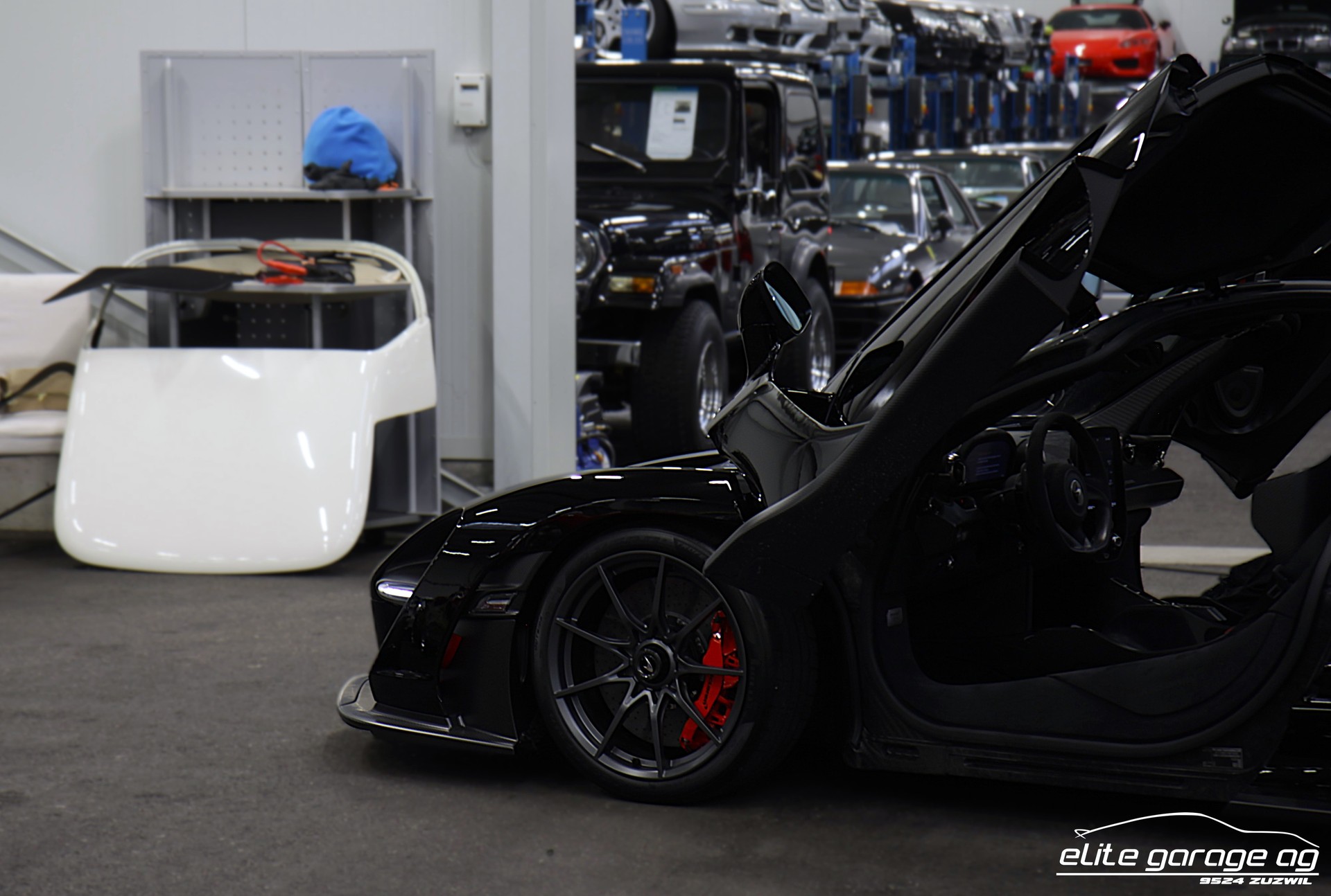 McLAREN SENNA-image-5