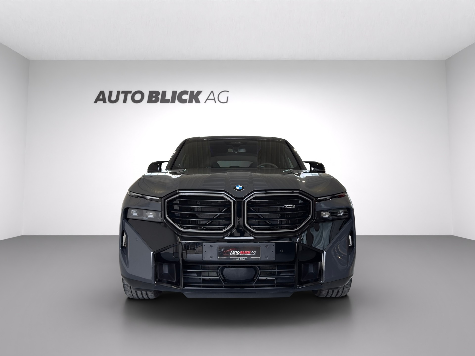 BMW XM xDrive 50e PHEV Steptronic-showroom-element-2
