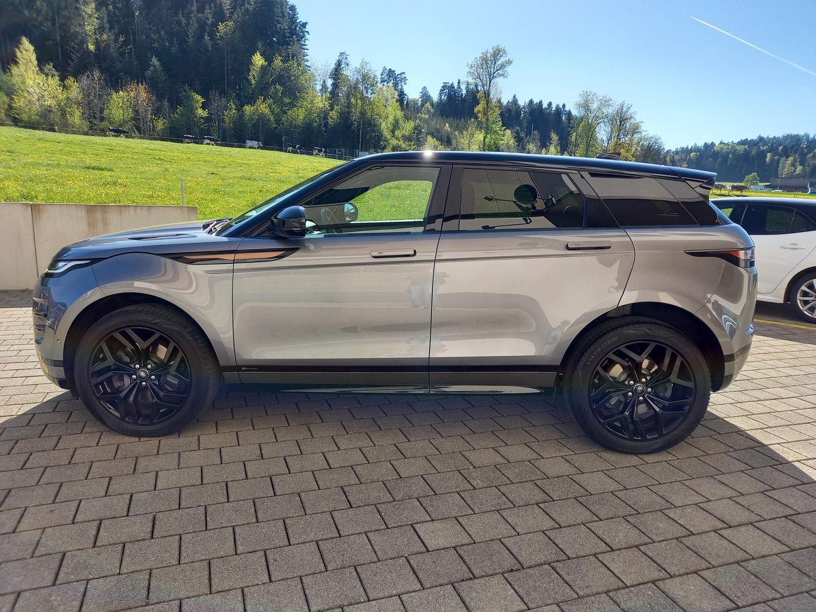 LAND ROVER Range Rover Evoque R-Dynamic D 240 SE AT9-image-2
