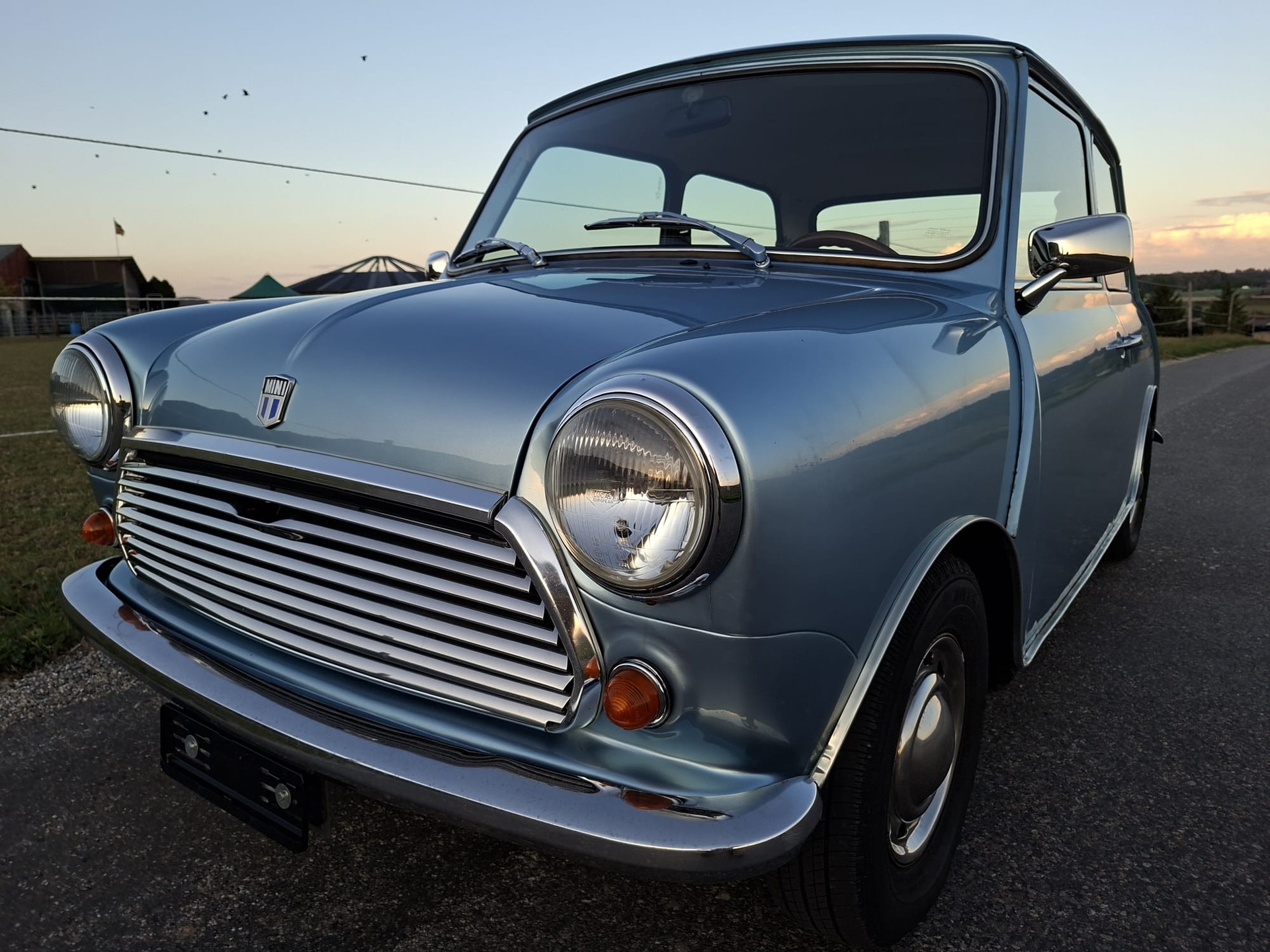 MINI 1000 HL-image-1
