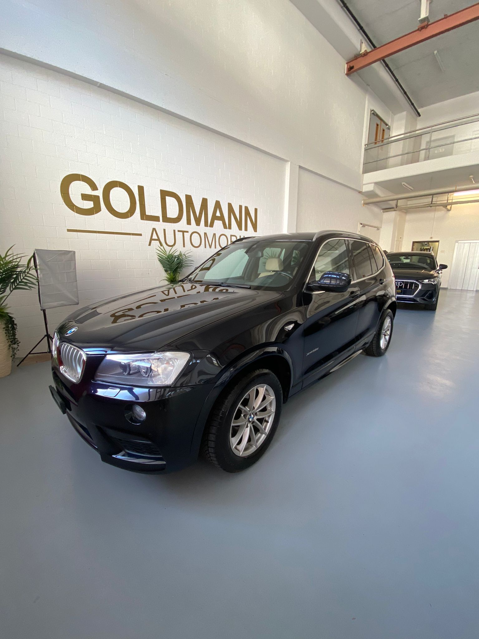 BMW X3 xDrive 30d Steptronic-image-8