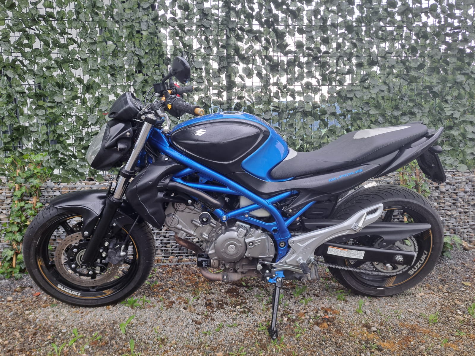 SUZUKI 650A Gladius-image-1
