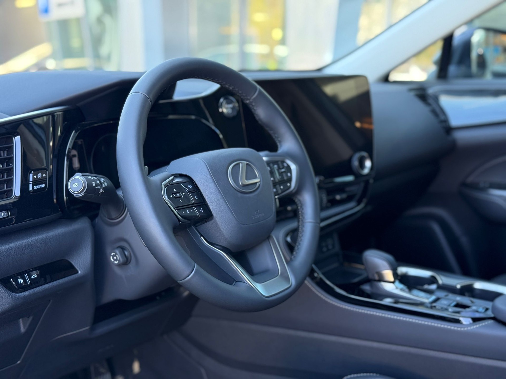 LEXUS NX 350h E-FOUR Premium+-image-8