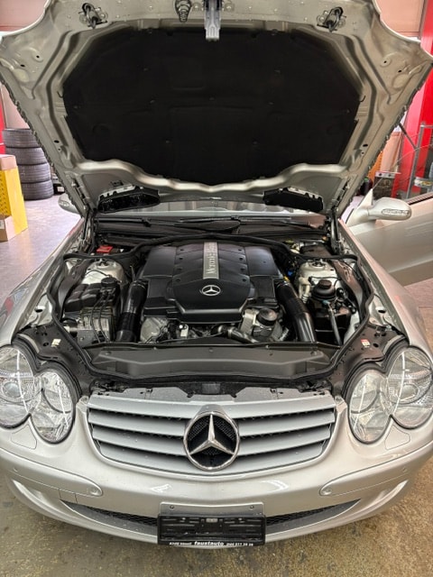 MERCEDES-BENZ SL 500 Automatic-image-4