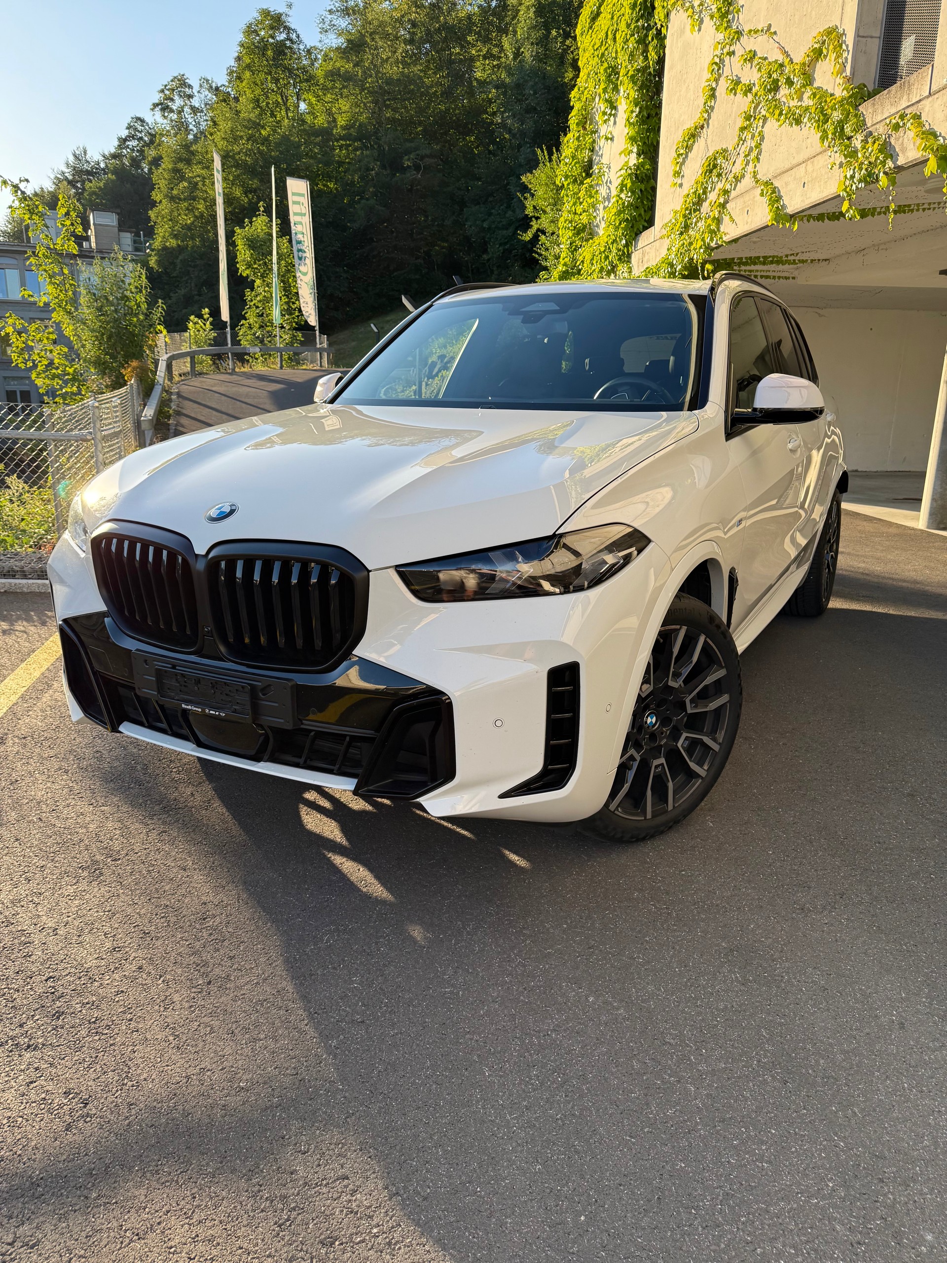 BMW 30d xDrive M Sport G05-image-0