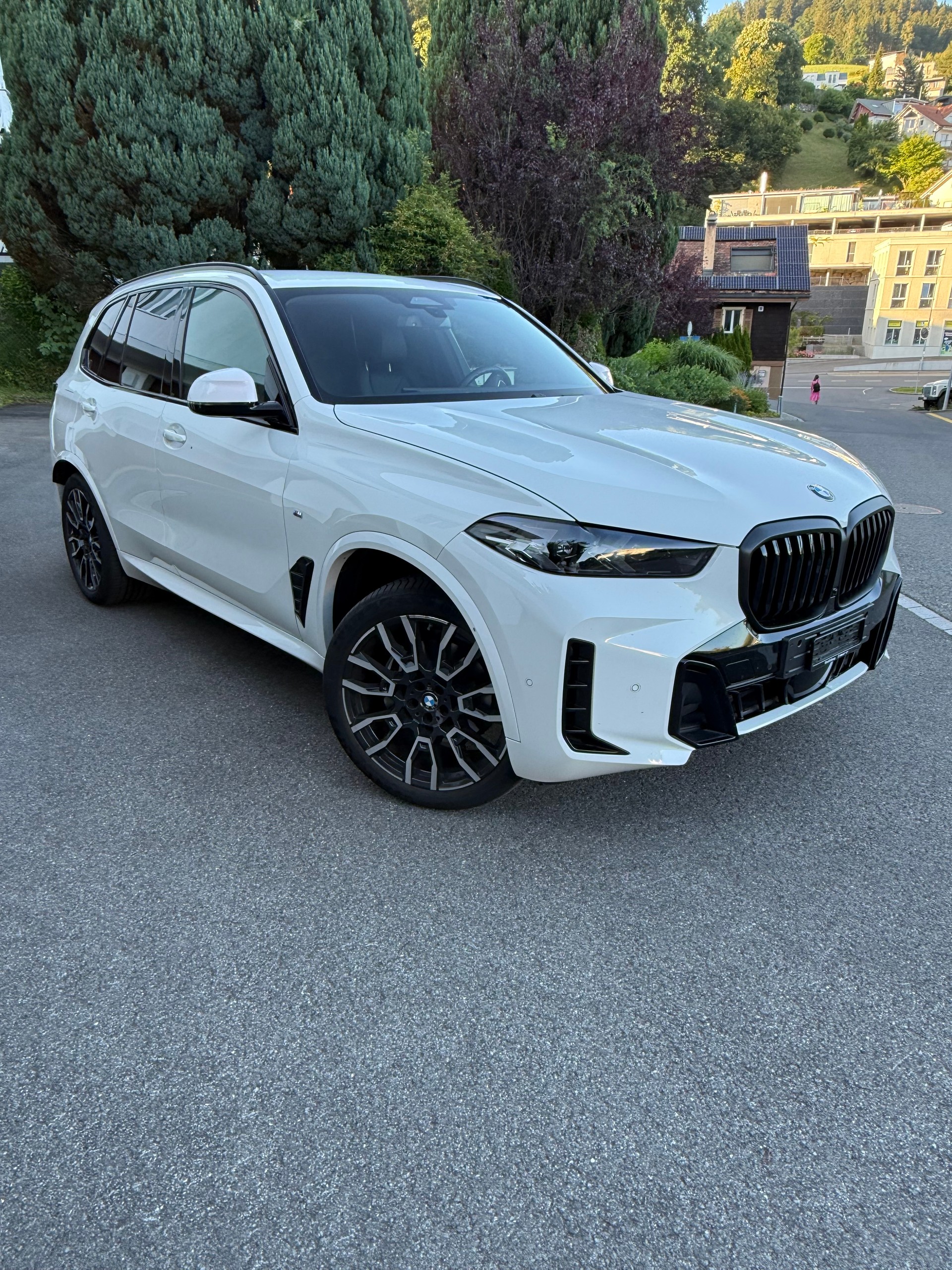 BMW 30d xDrive M Sport G05-image-2