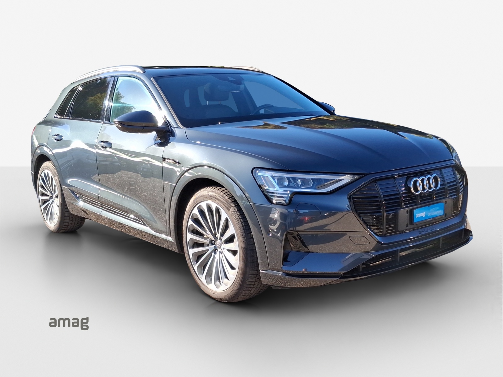 AUDI e-tron 55 Advanced quattro-image-6