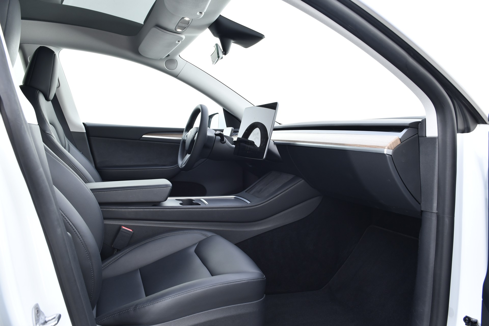 TESLA Model Y Performance-image-14