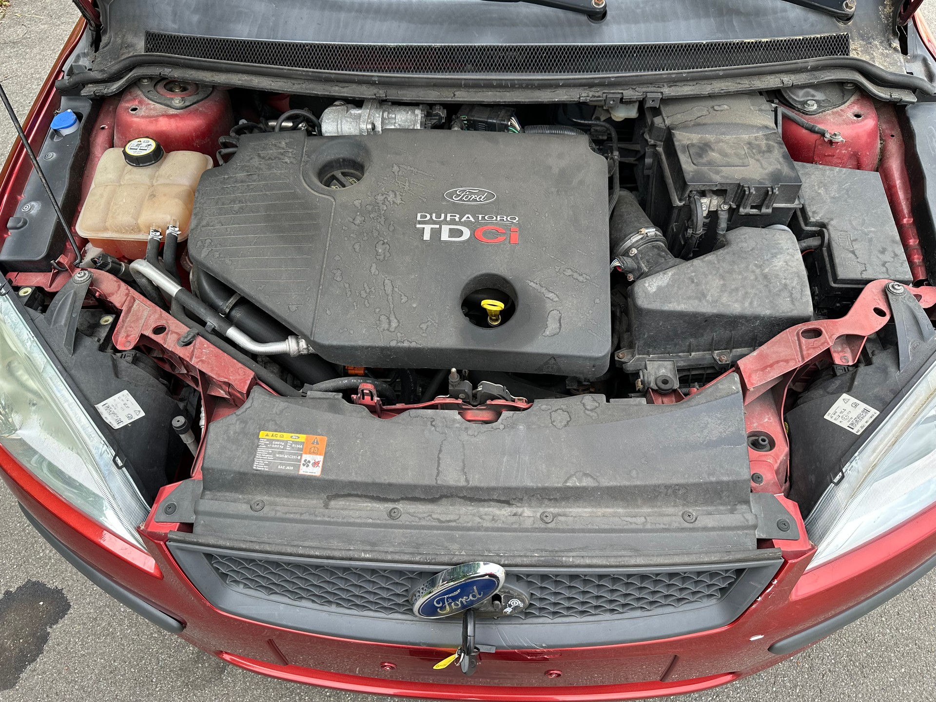 FORD Focus 1.8 TDCi Trend FIXPREIS-image-13