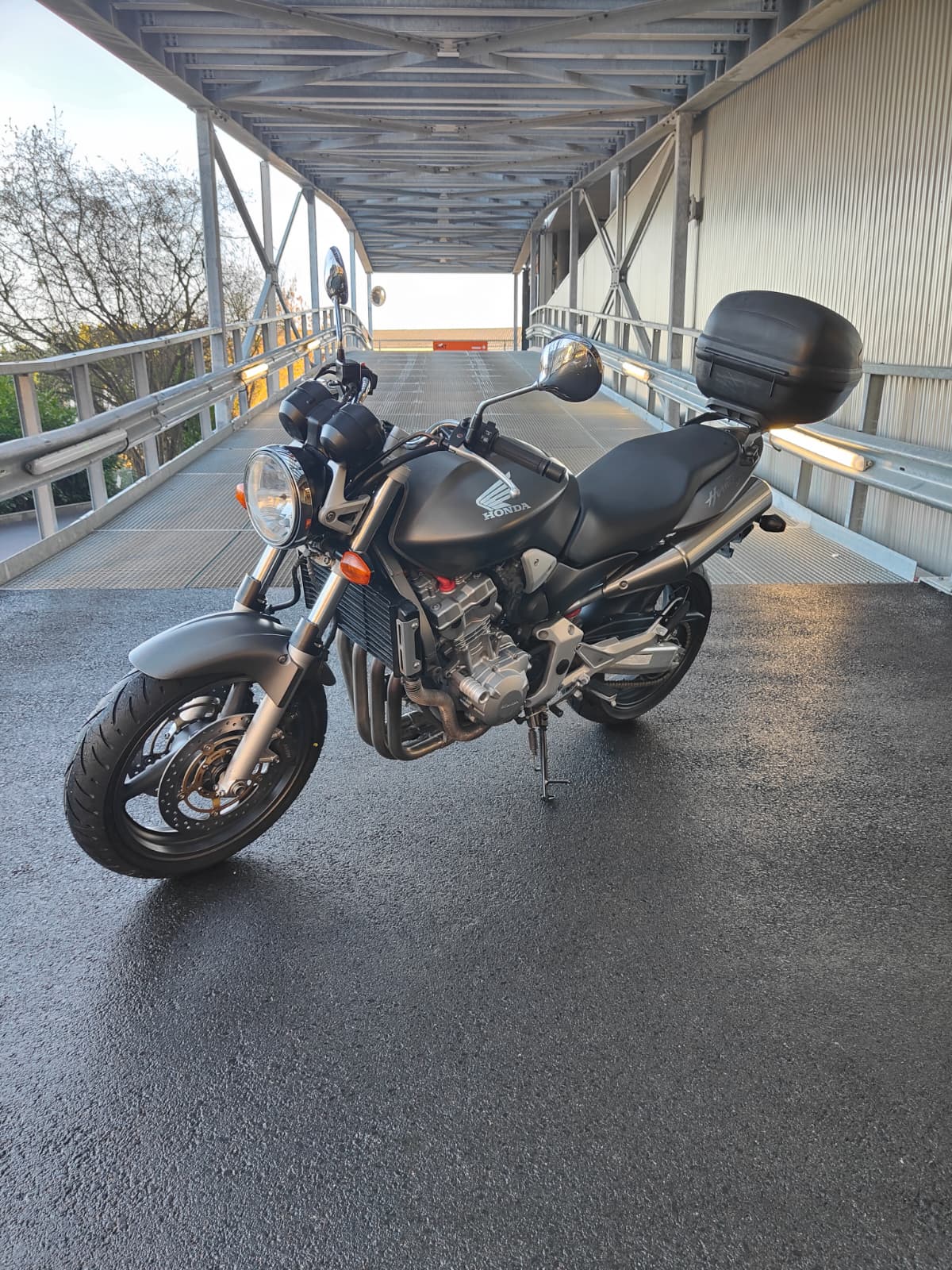 HONDA CB 900 F Hornet-showroom-element-1