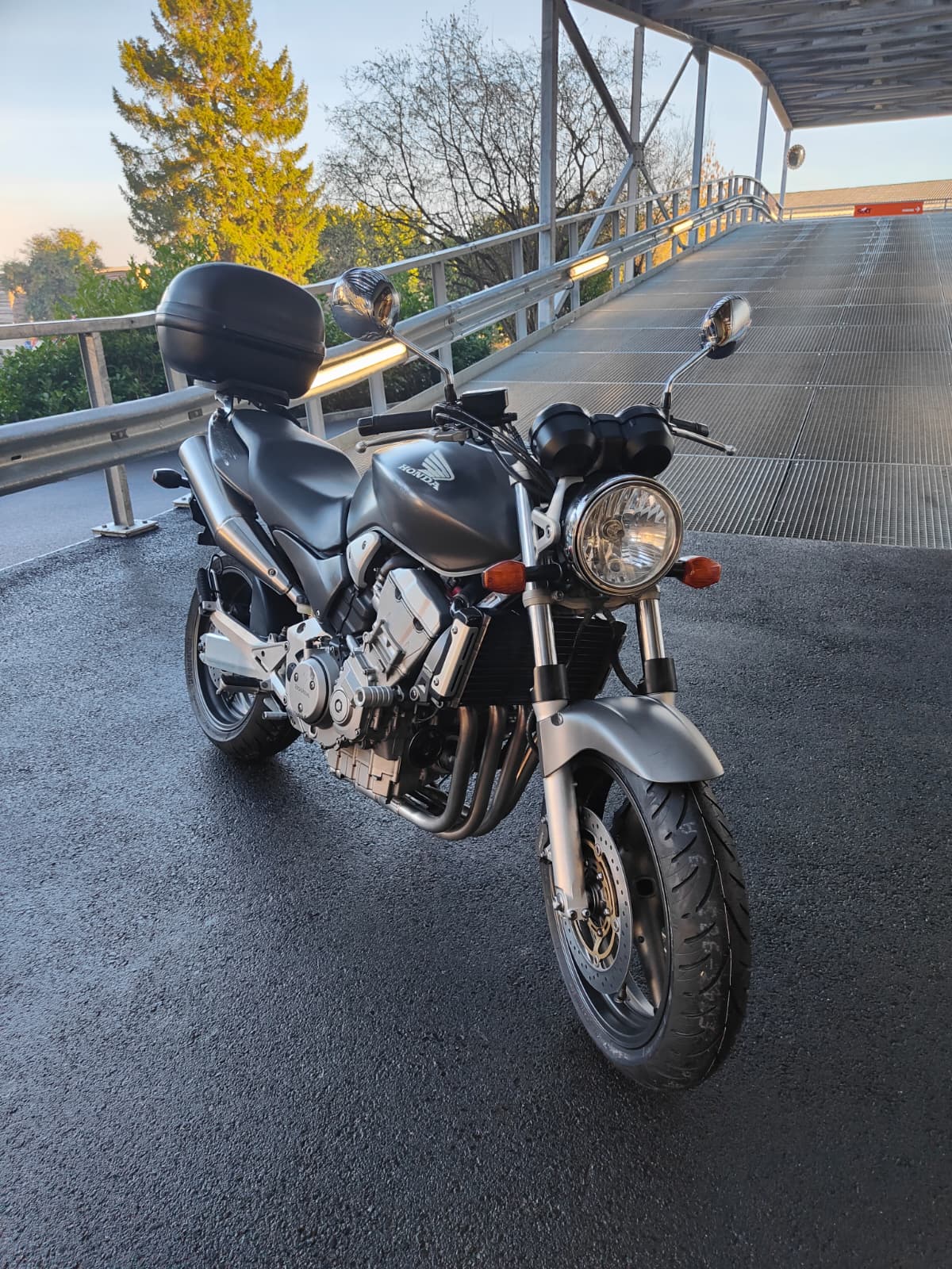 HONDA CB 900 F Hornet-showroom-element-3