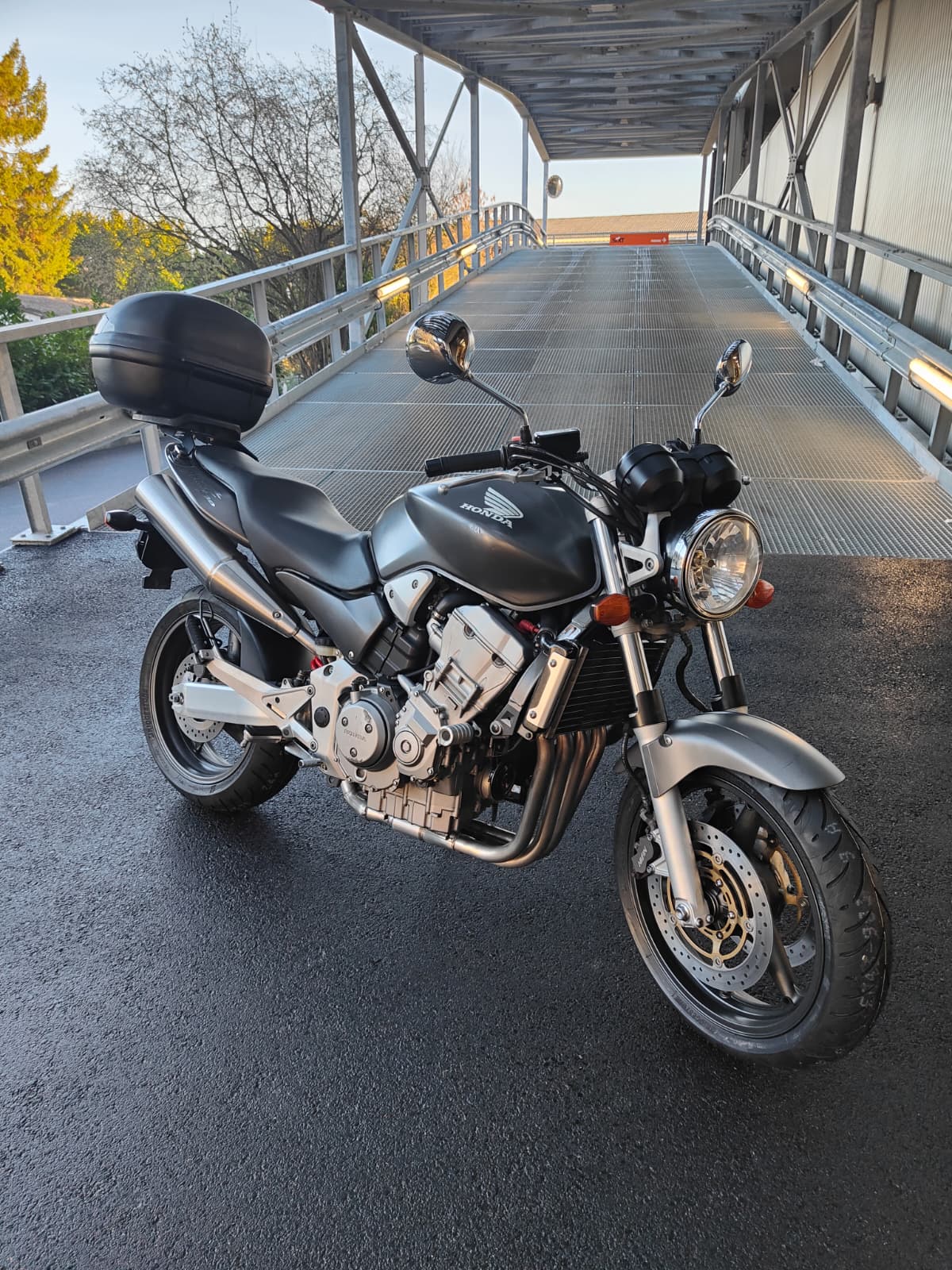 HONDA CB 900 F Hornet