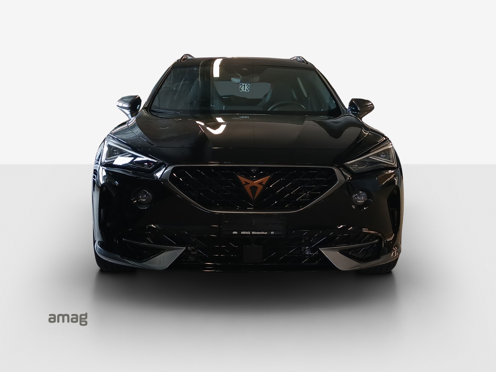 CUPRA Formentor 2.0TSI Tribe Edition 4Drive DSG-image-2