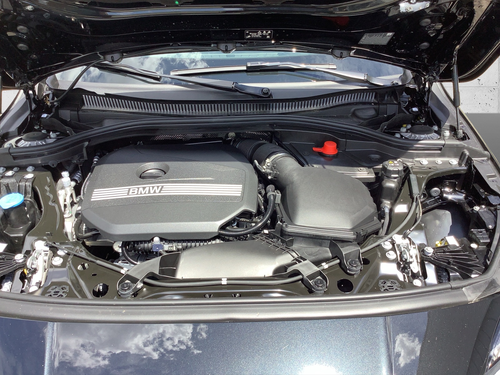 BMW 116 Steptronic-image-8
