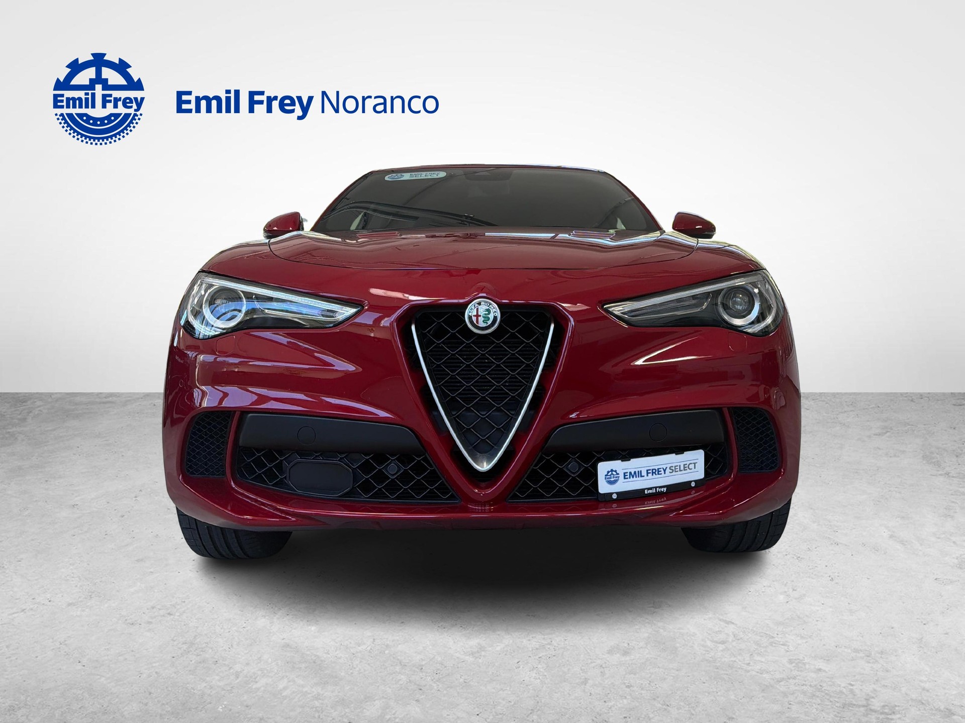 ALFA ROMEO Stelvio 2.9 V6 Biturbo Q4 Quadrifoglio-image-7
