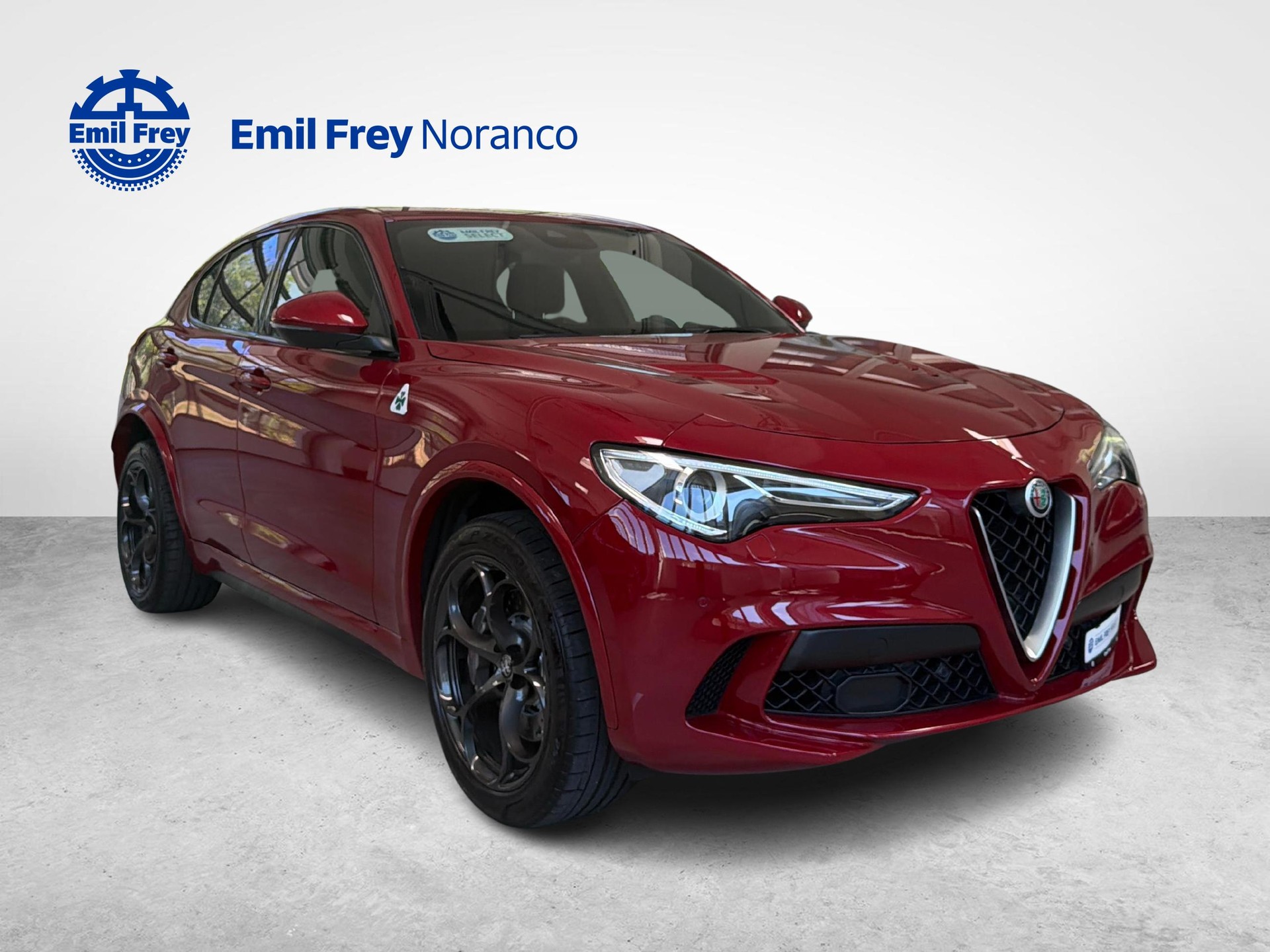 ALFA ROMEO Stelvio 2.9 V6 Biturbo Q4 Quadrifoglio-image-6