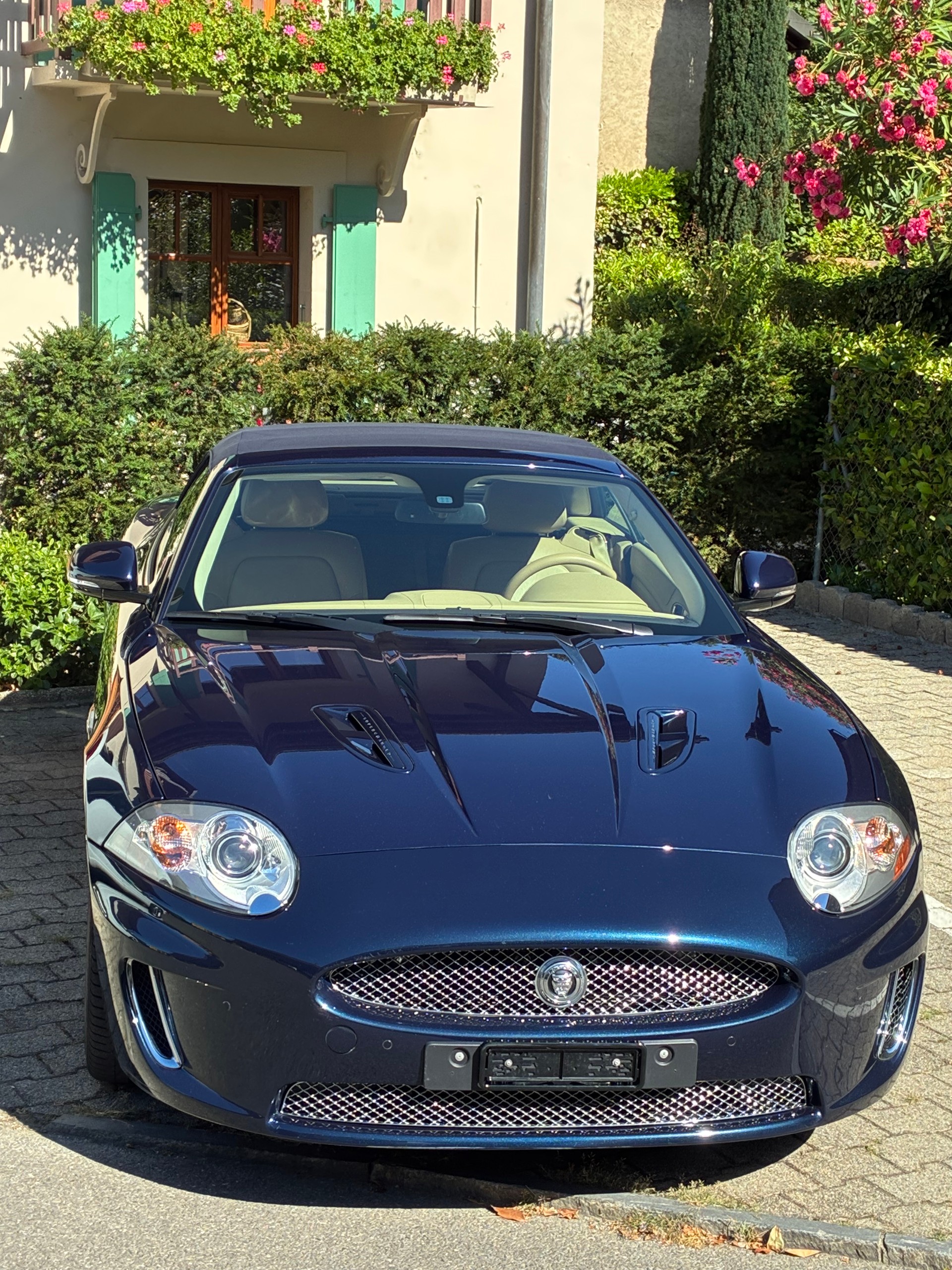 JAGUAR Supercharged-image-1