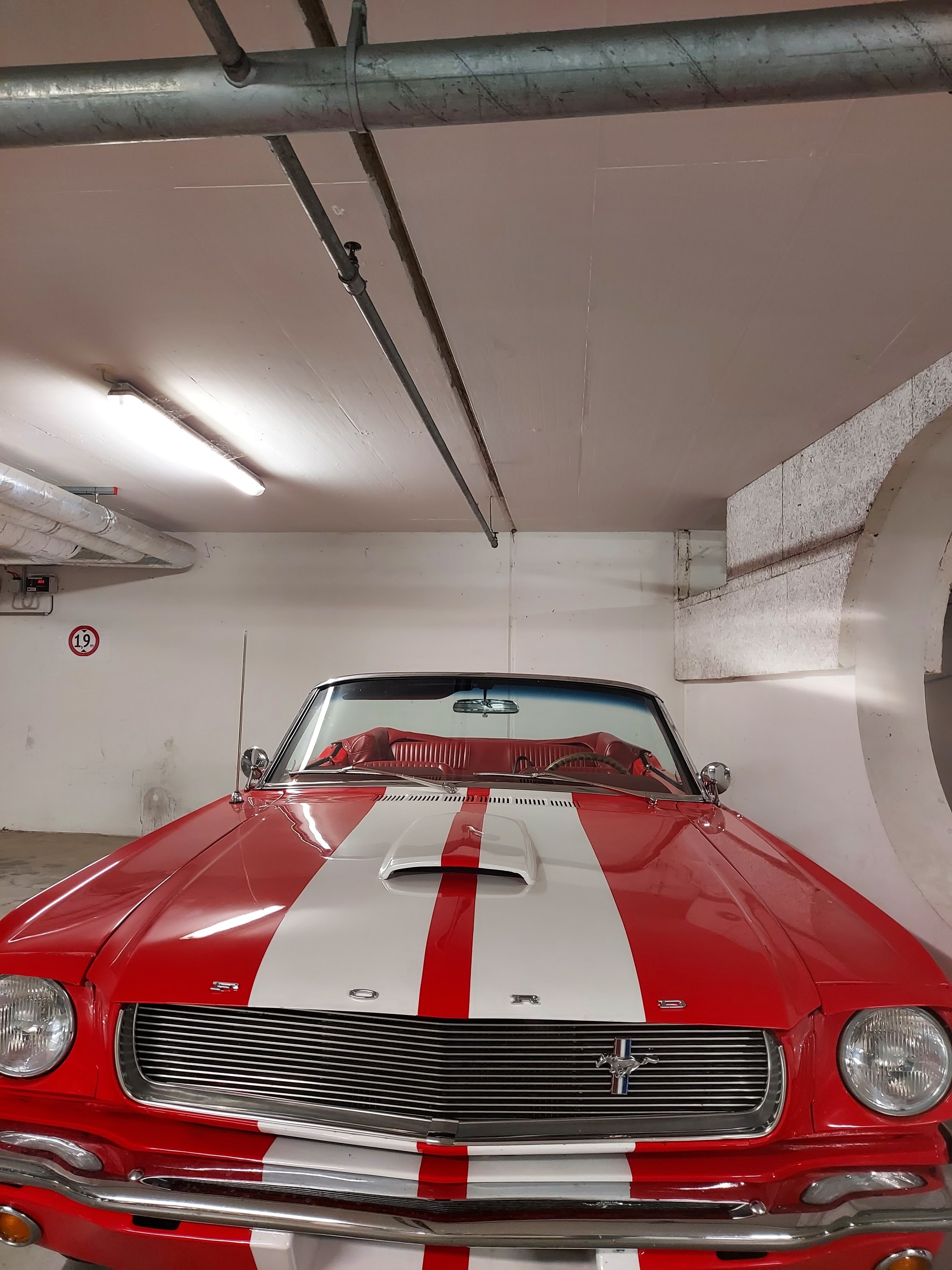 FORD GT-350-image-3
