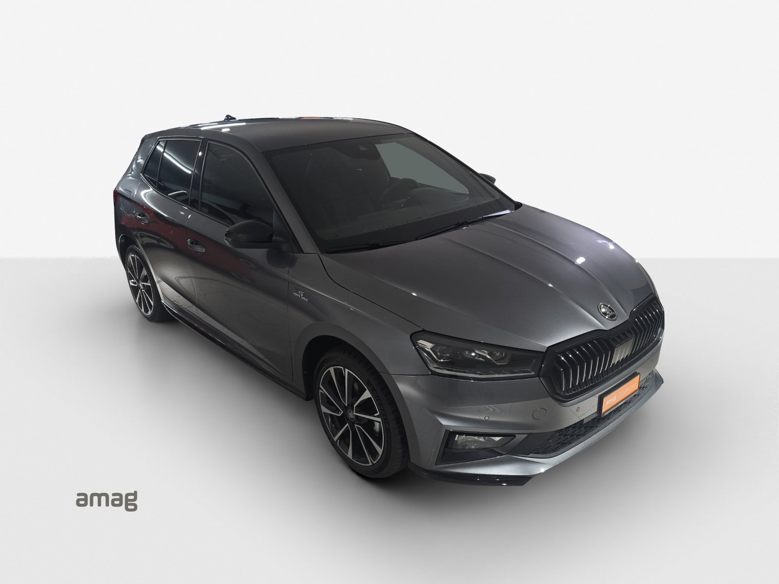 SKODA Fabia 1.5 TSI Monte Carlo DSG-image-13
