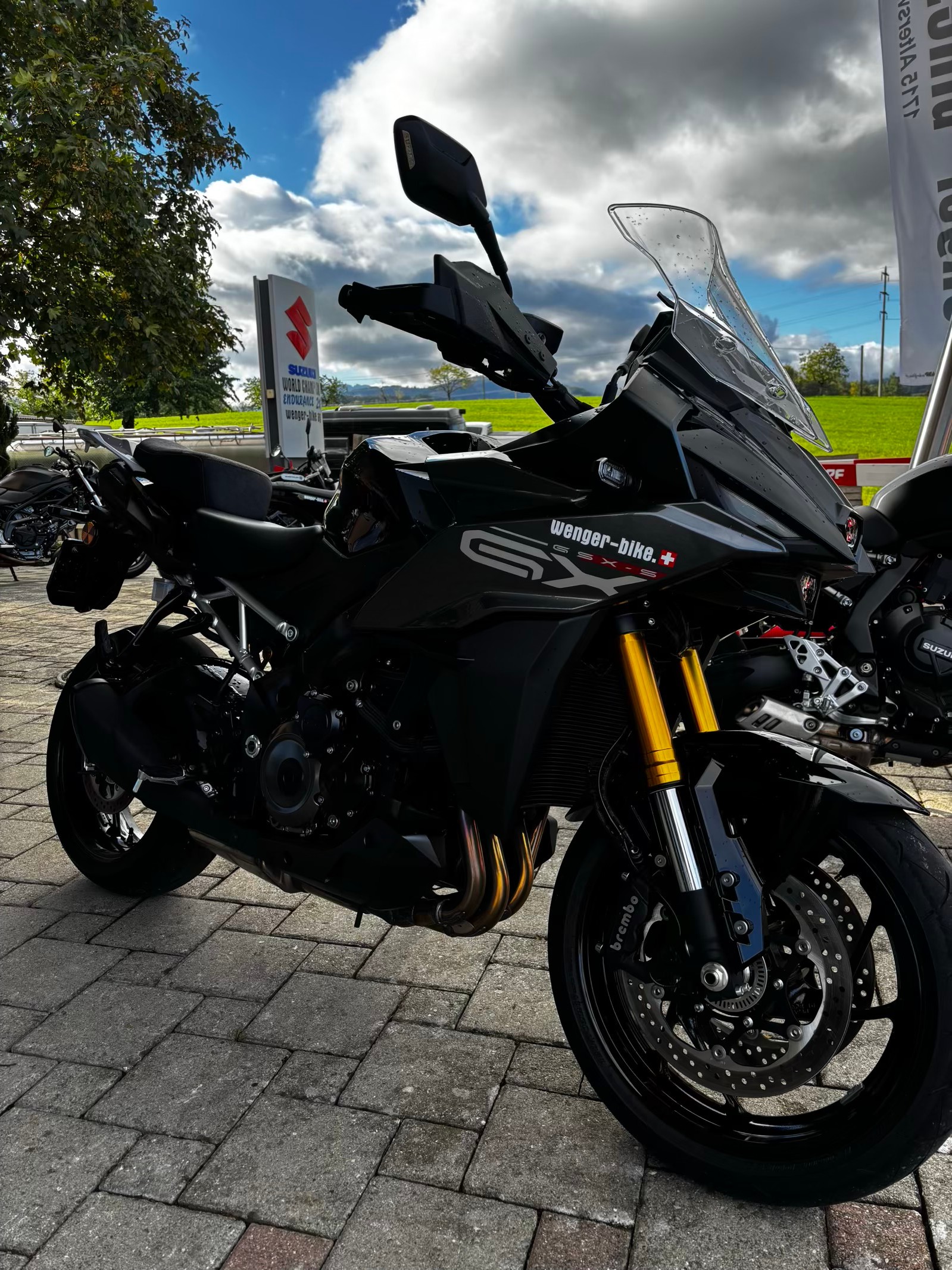 SUZUKI GSX-S 1000 GX-image-4