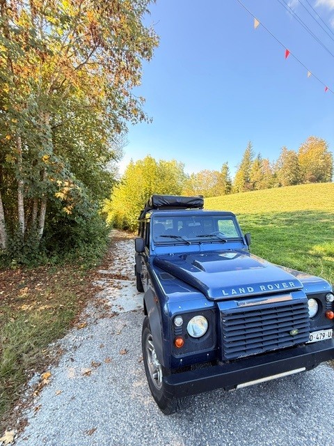 LAND ROVER Defender 110 SW 2.4Tdc-image-8