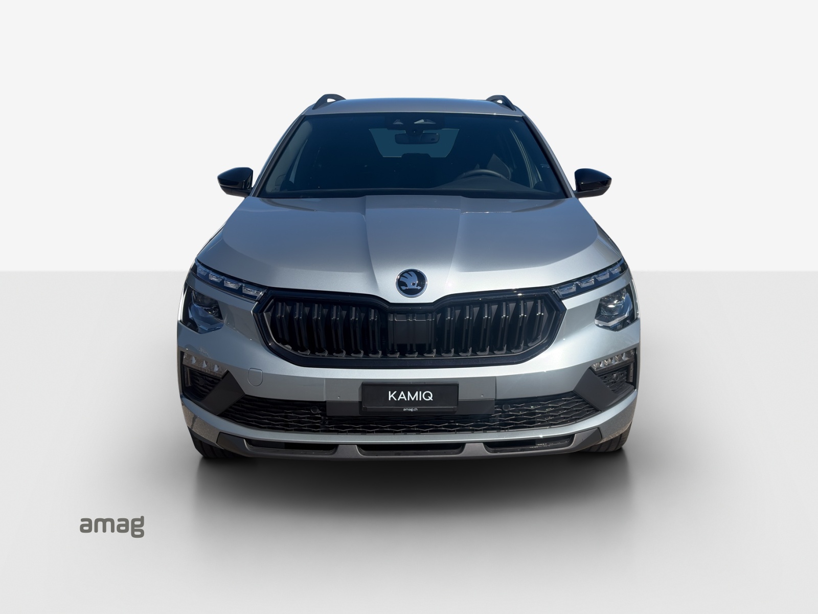 SKODA Kamiq 1.0 TSI Dynamic DSG-image-6