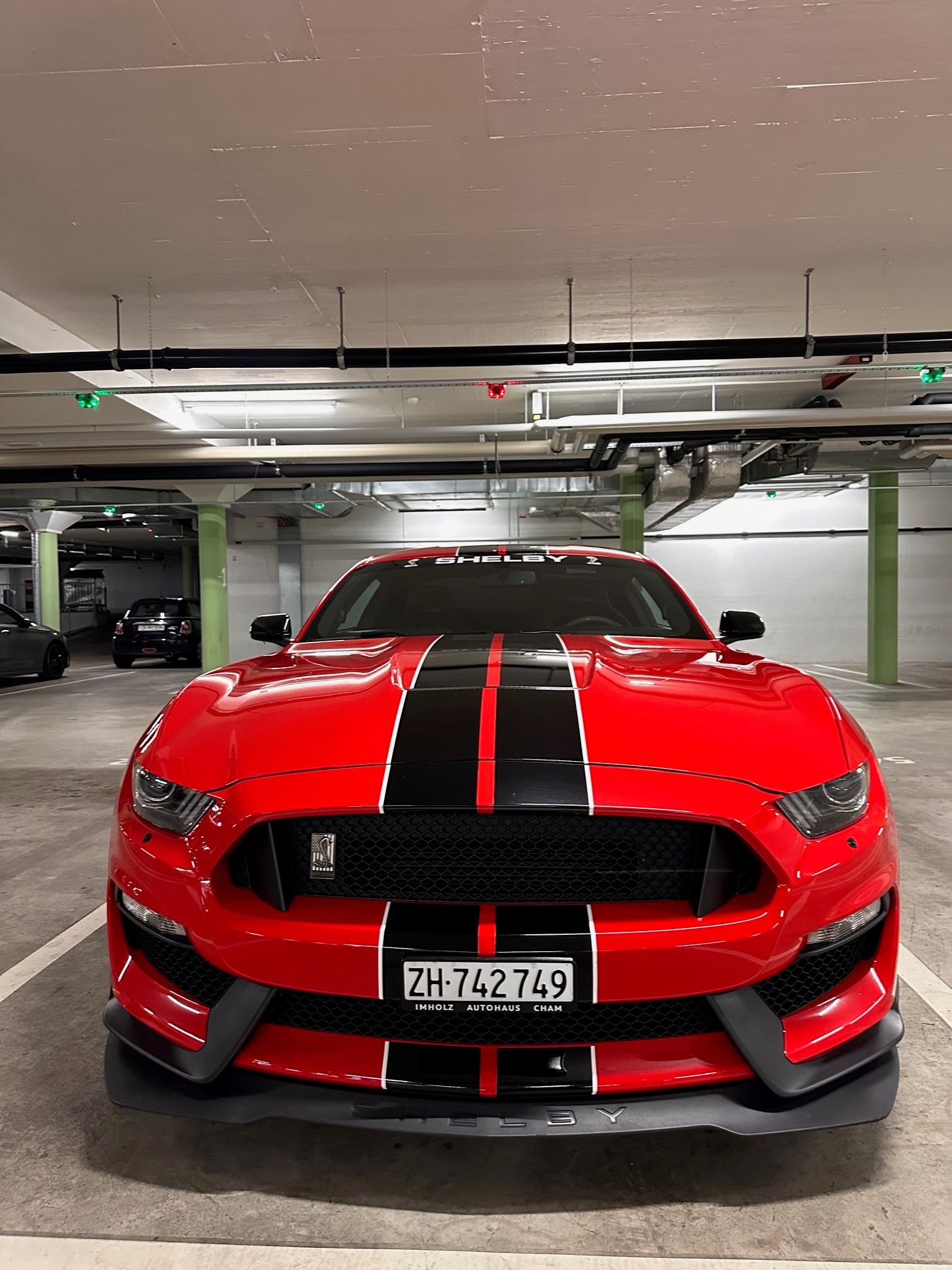 FORD Shelby GT350-image-5