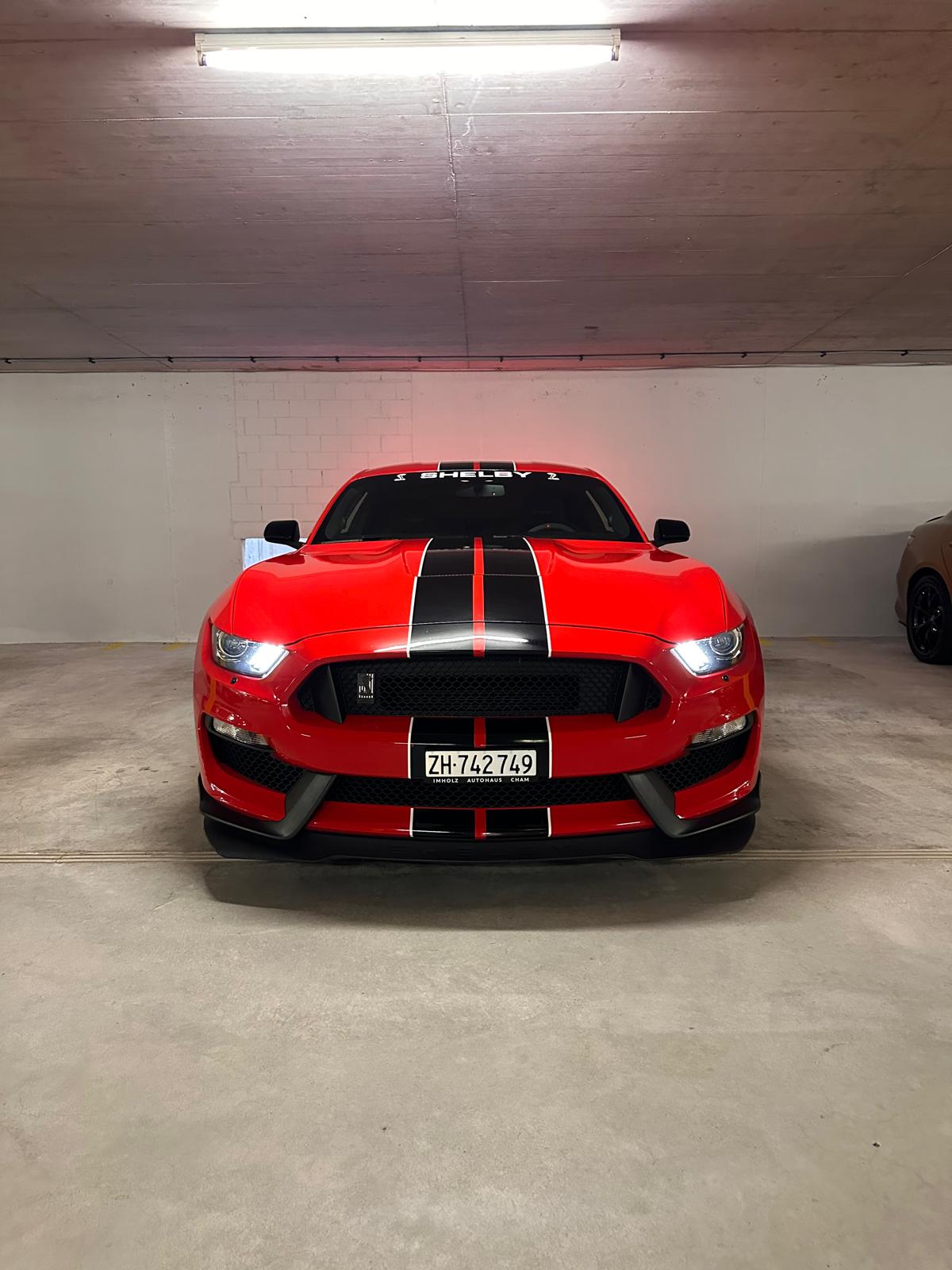 FORD Shelby GT350 *Recaro Edition*-image-1