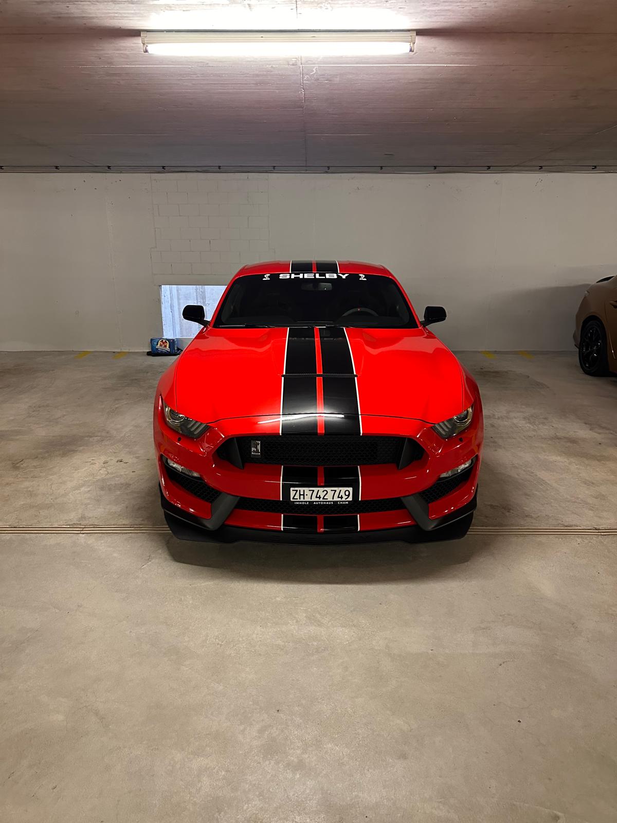 FORD Shelby GT350 *Recaro Edition*-image-2