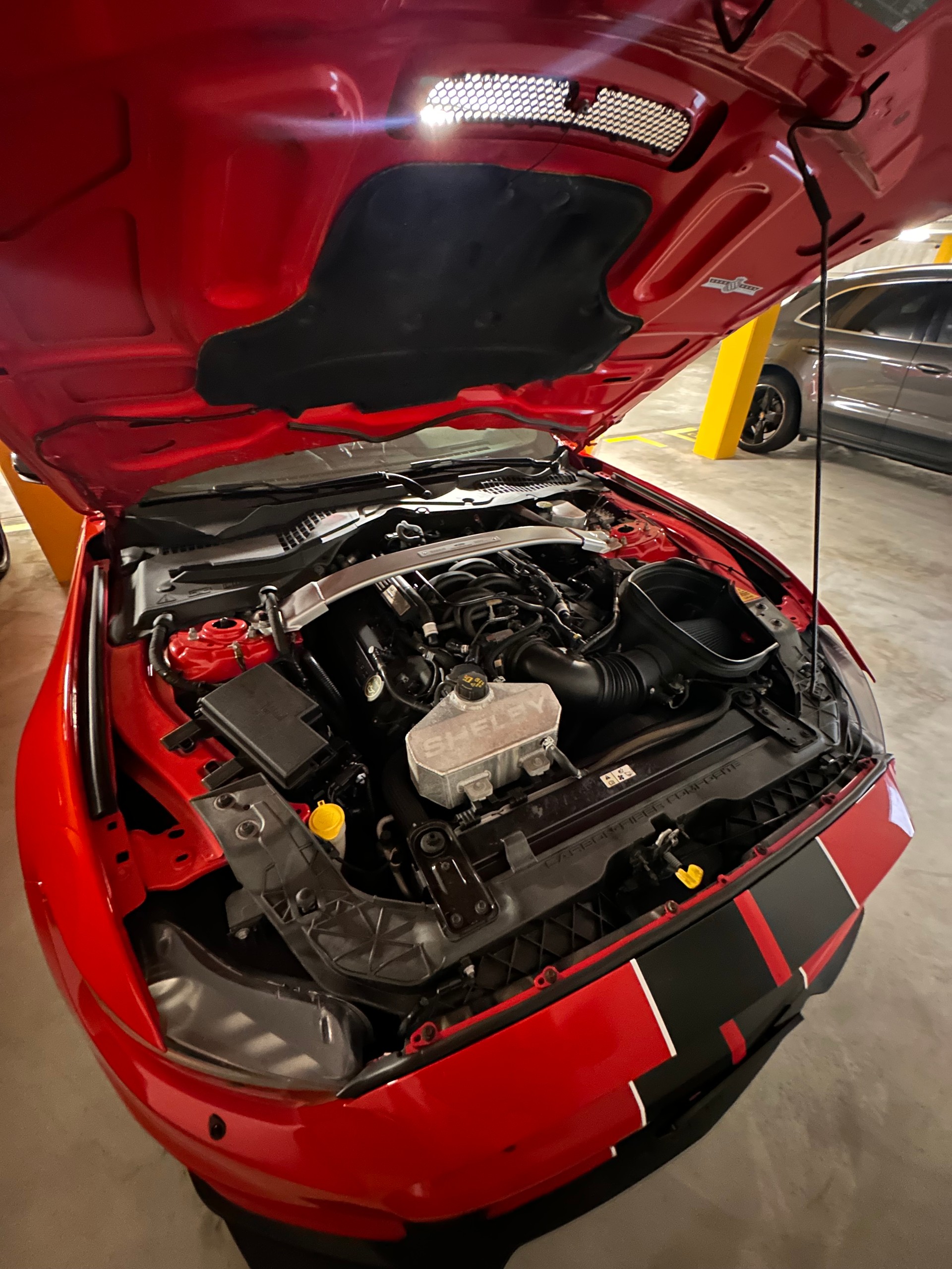 FORD Shelby GT350-image-8