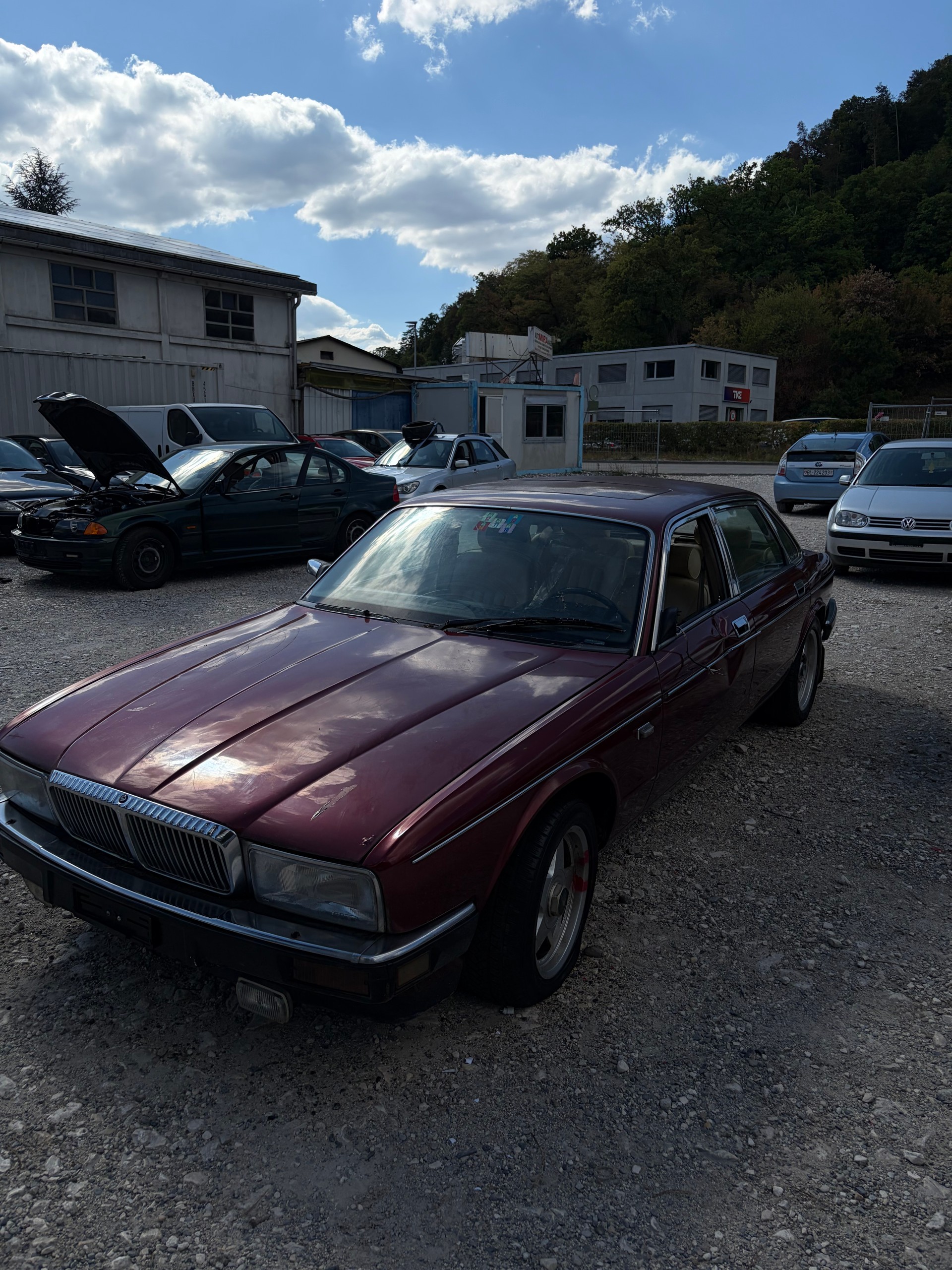 JAGUAR 4.0 Liter-image-2