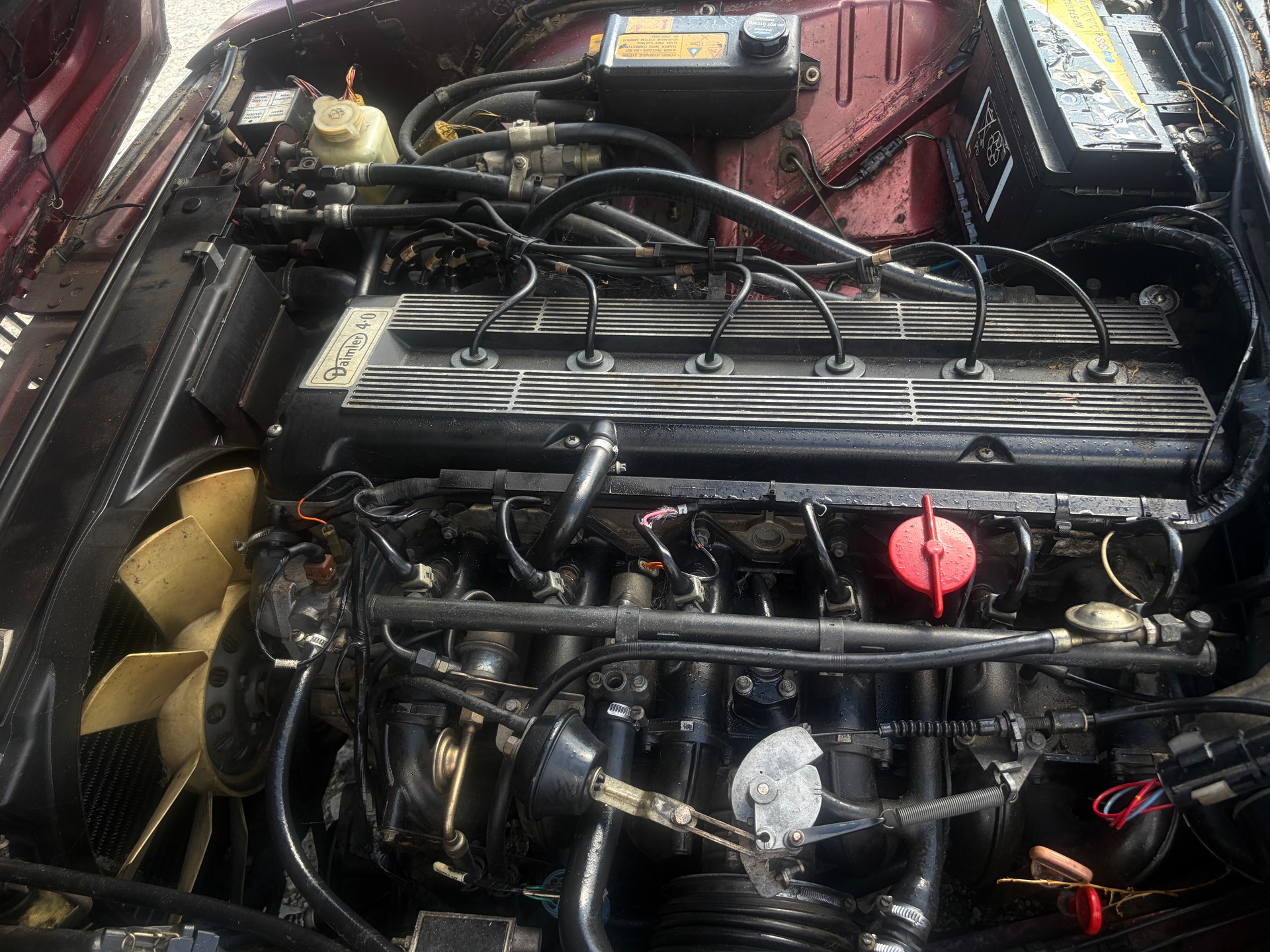 JAGUAR 4.0 Liter-image-9