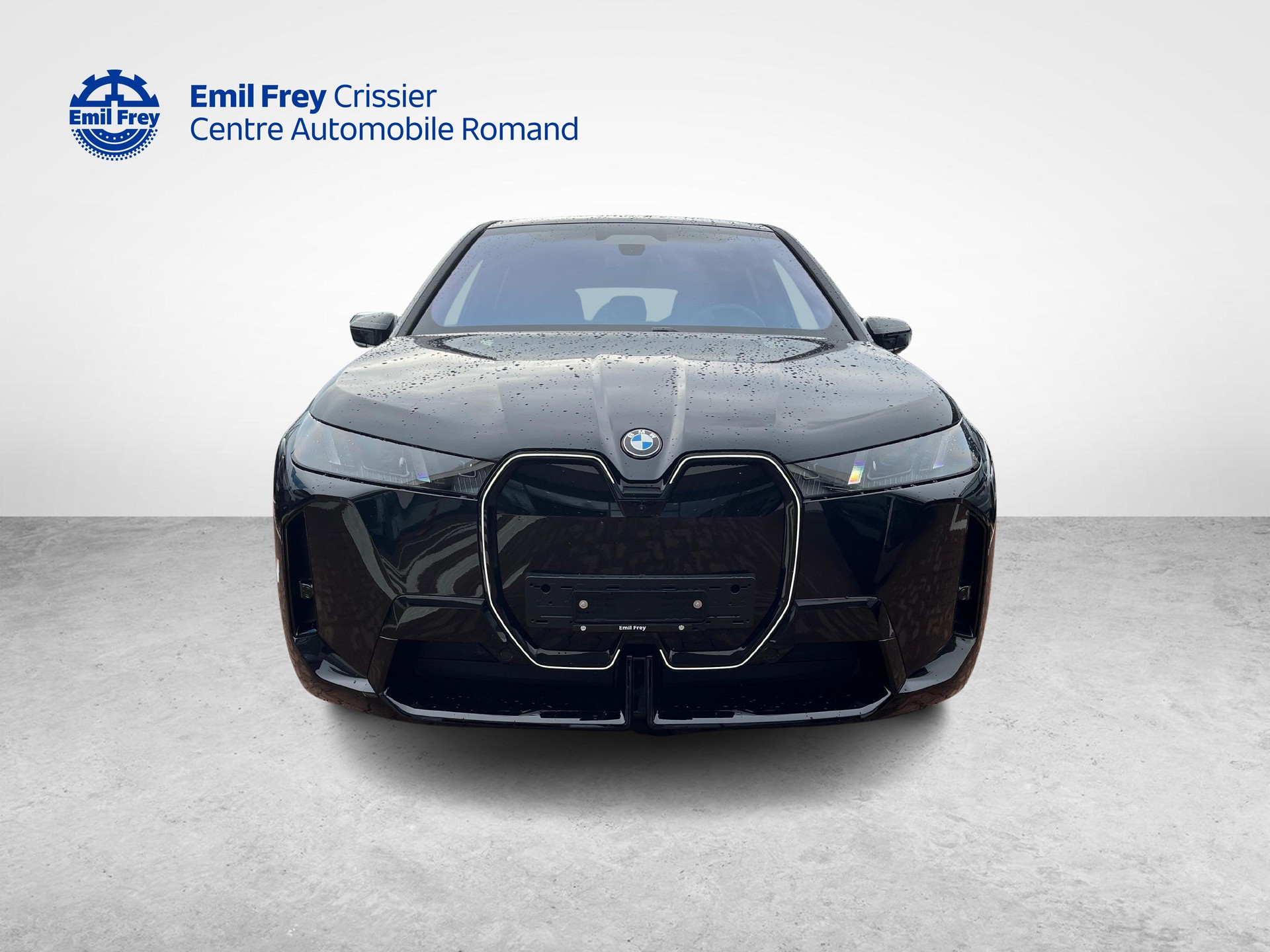 BMW iX xDrive60-image-6