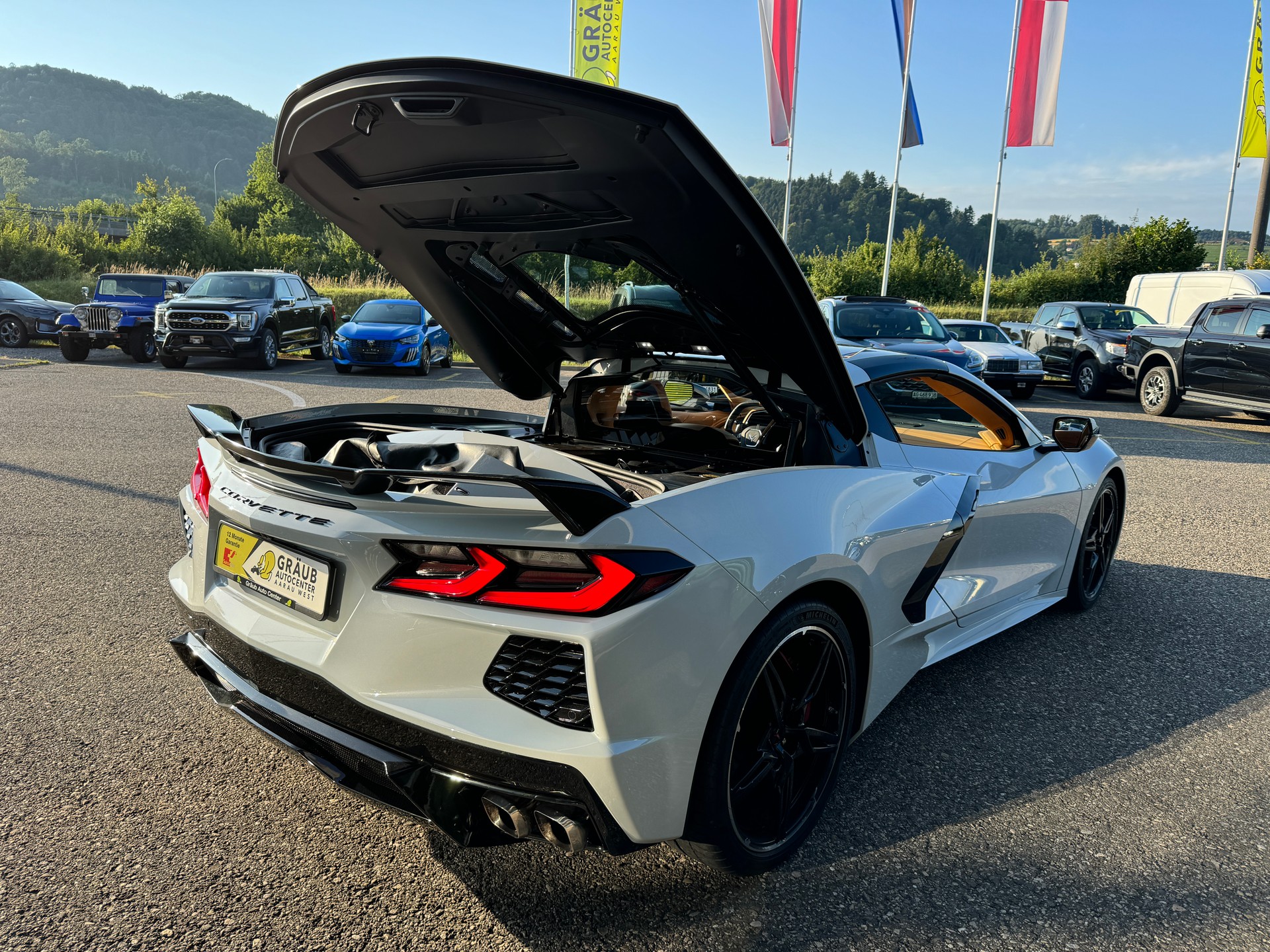 CHEVROLET Corvette 6.2L V8 Stingray 3LT Z51 Performance Pack 3.99%-image-12